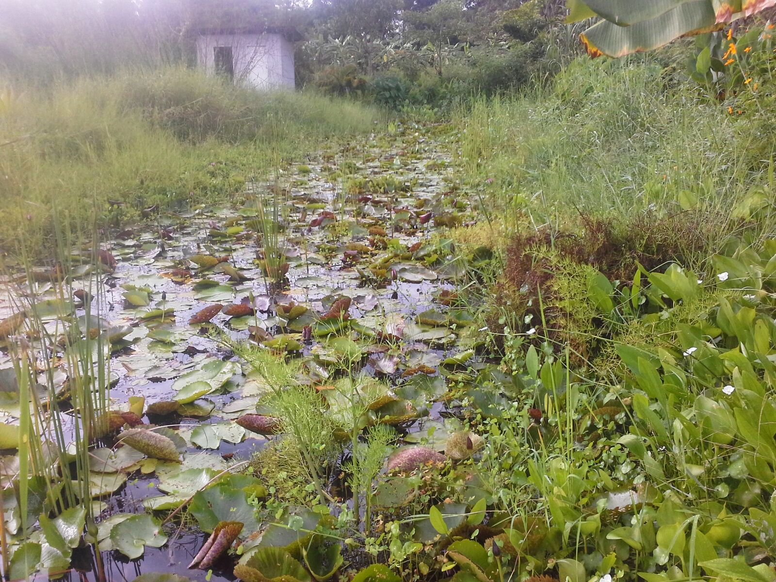 Samsung Galaxy Note 10.1 sample photo