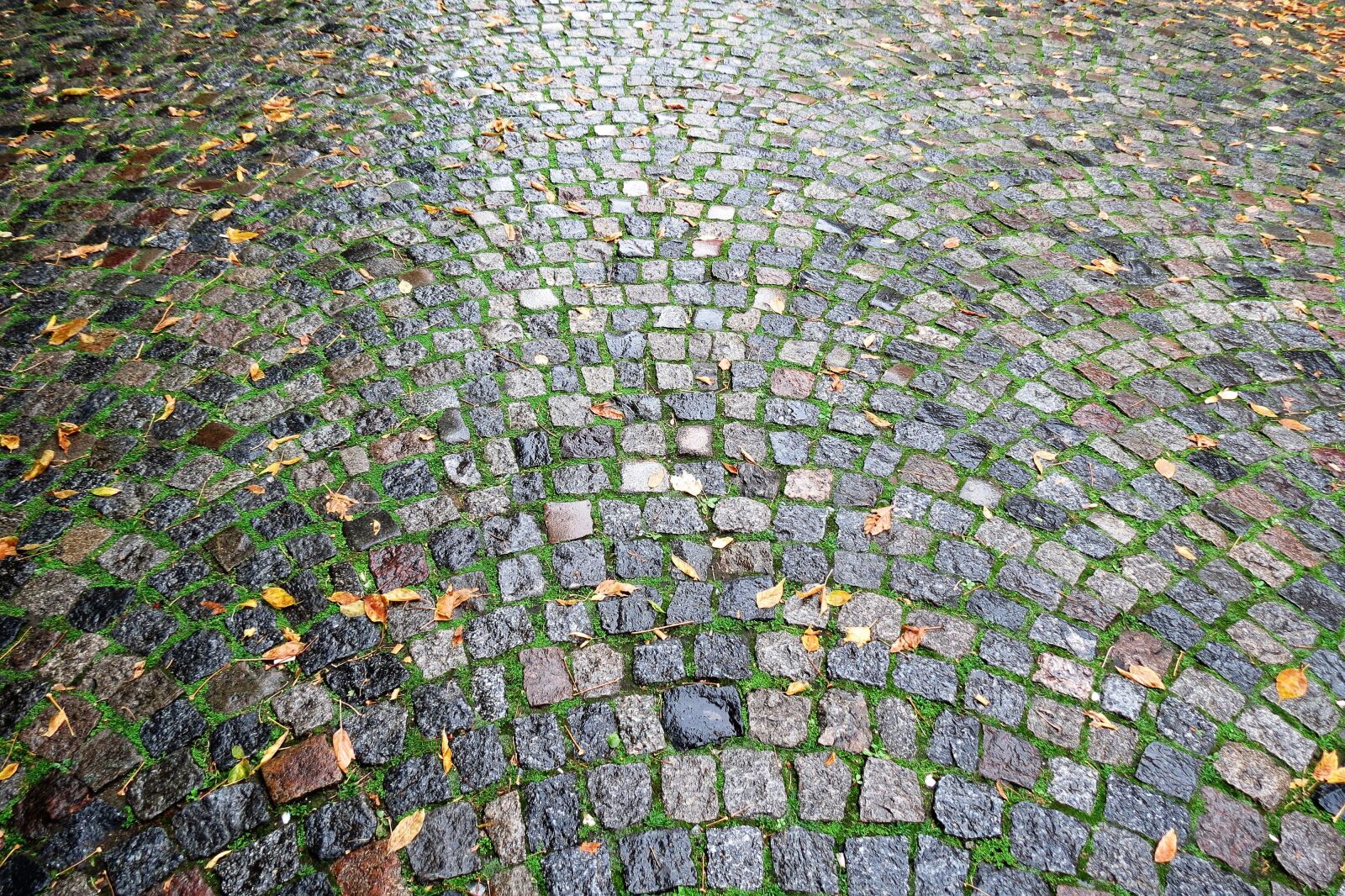Canon PowerShot SX40 HS sample photo. Caminito, buenosaires, colors photography