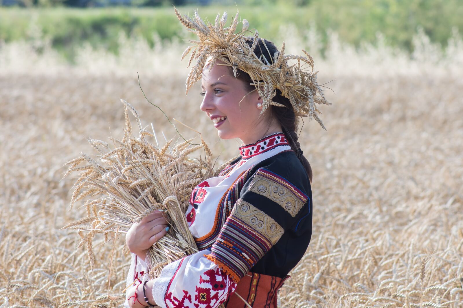 Nikon D7200 sample photo. Harvest, summer, nature photography