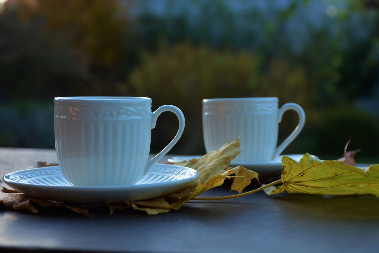 Nikon D5200 sample photo. Autumn, mugs, leaves photography