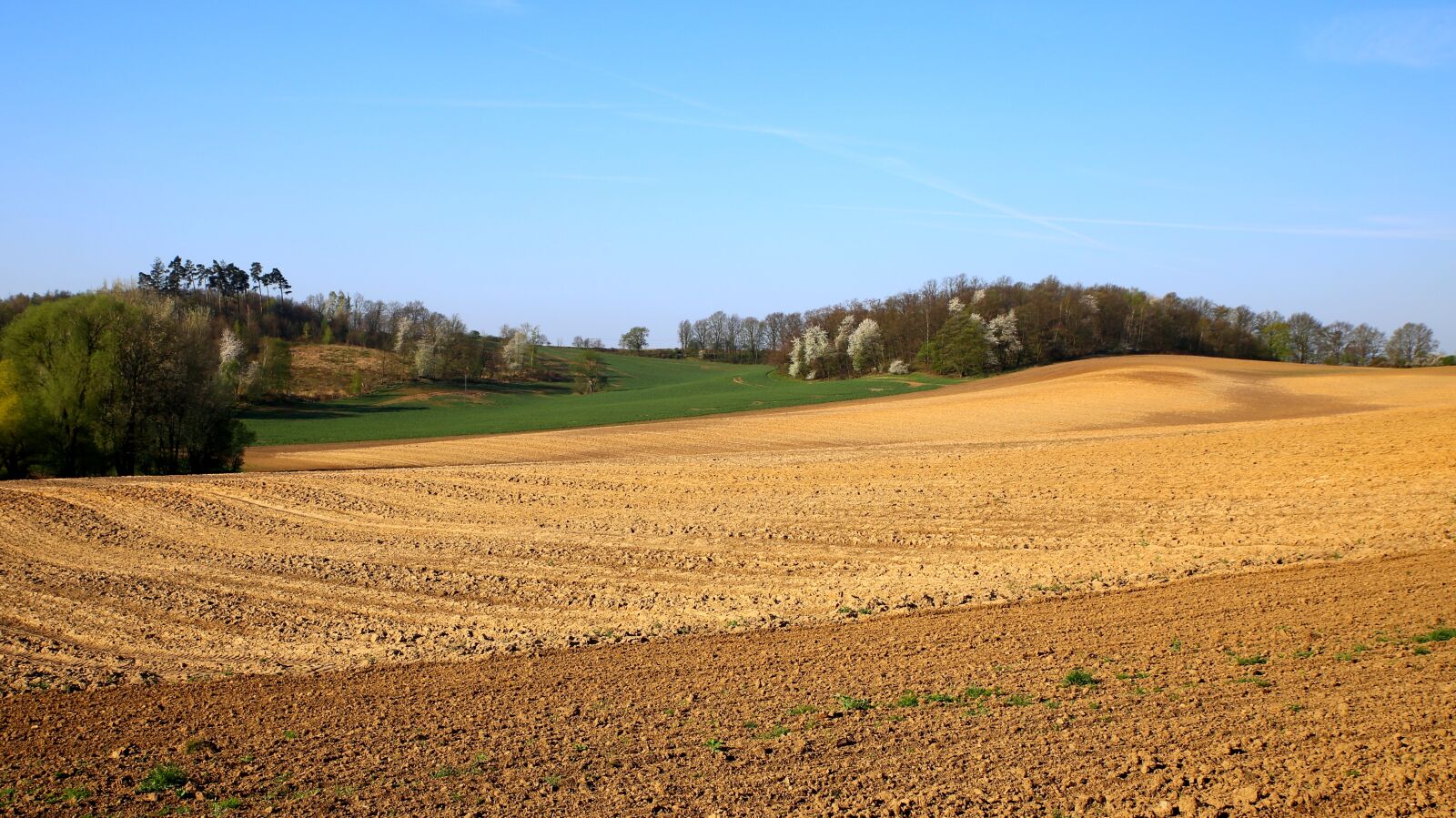 Canon EOS 6D sample photo. Mati, nature, field photography