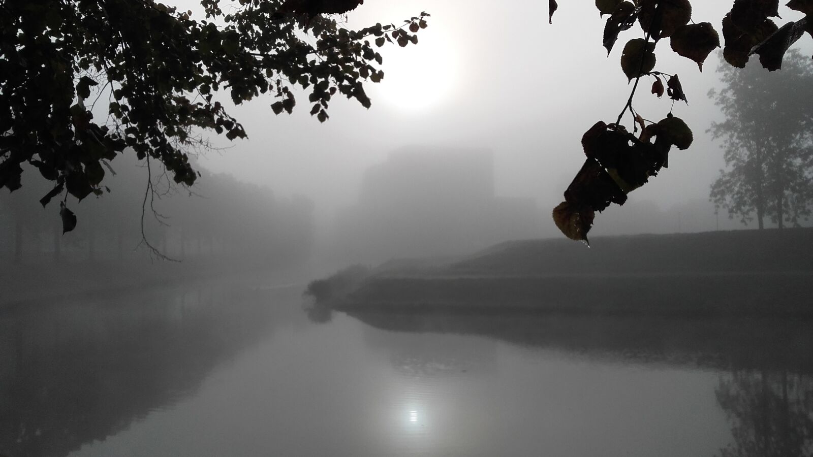 Samsung Galaxy Grand Prime sample photo. Nature, autumn, misty photography