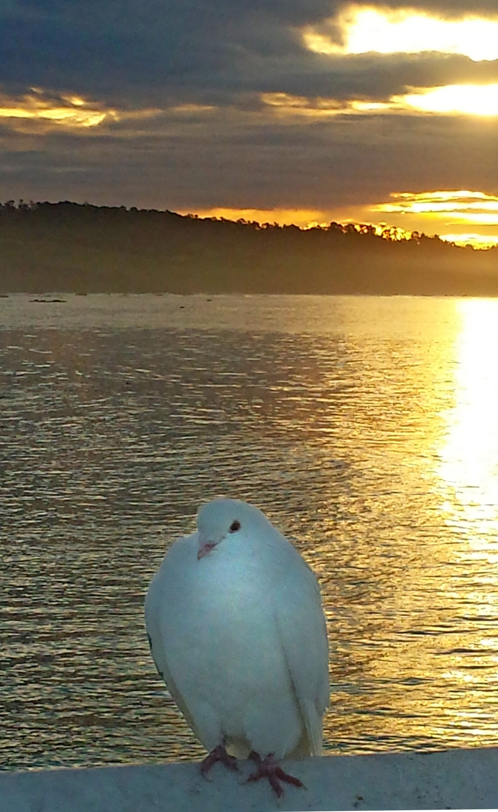 Samsung Galaxy S4 sample photo