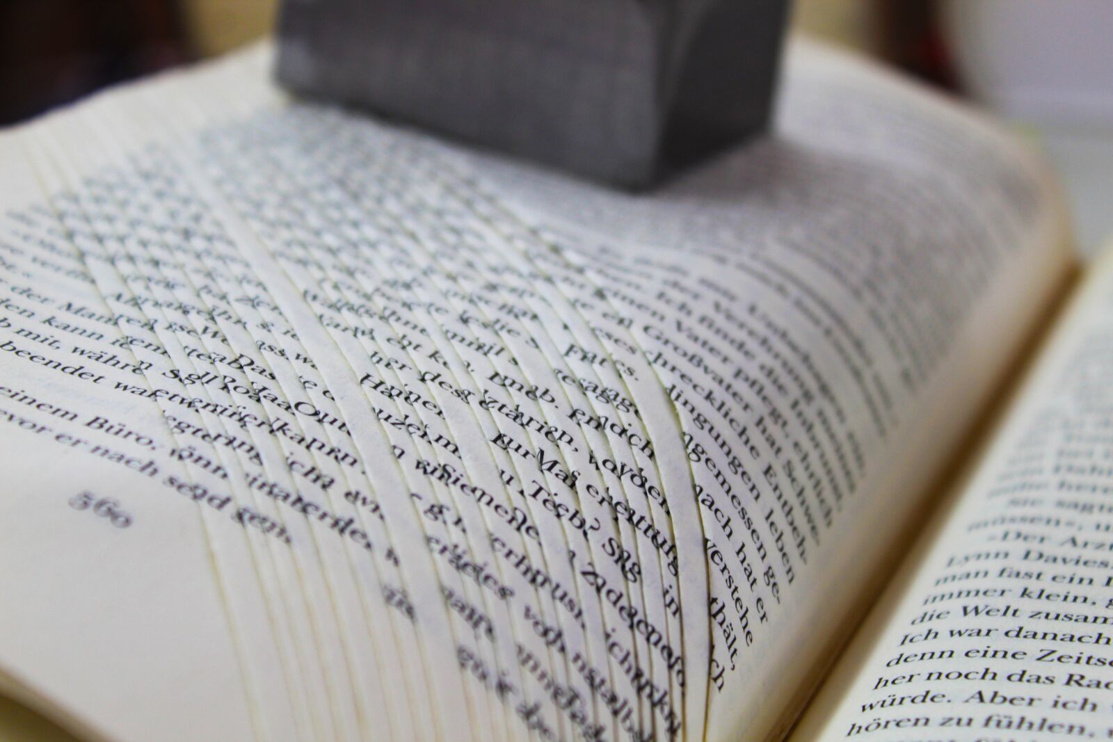 Canon EOS 1300D (EOS Rebel T6 / EOS Kiss X80) sample photo. Book, fold, book pages photography