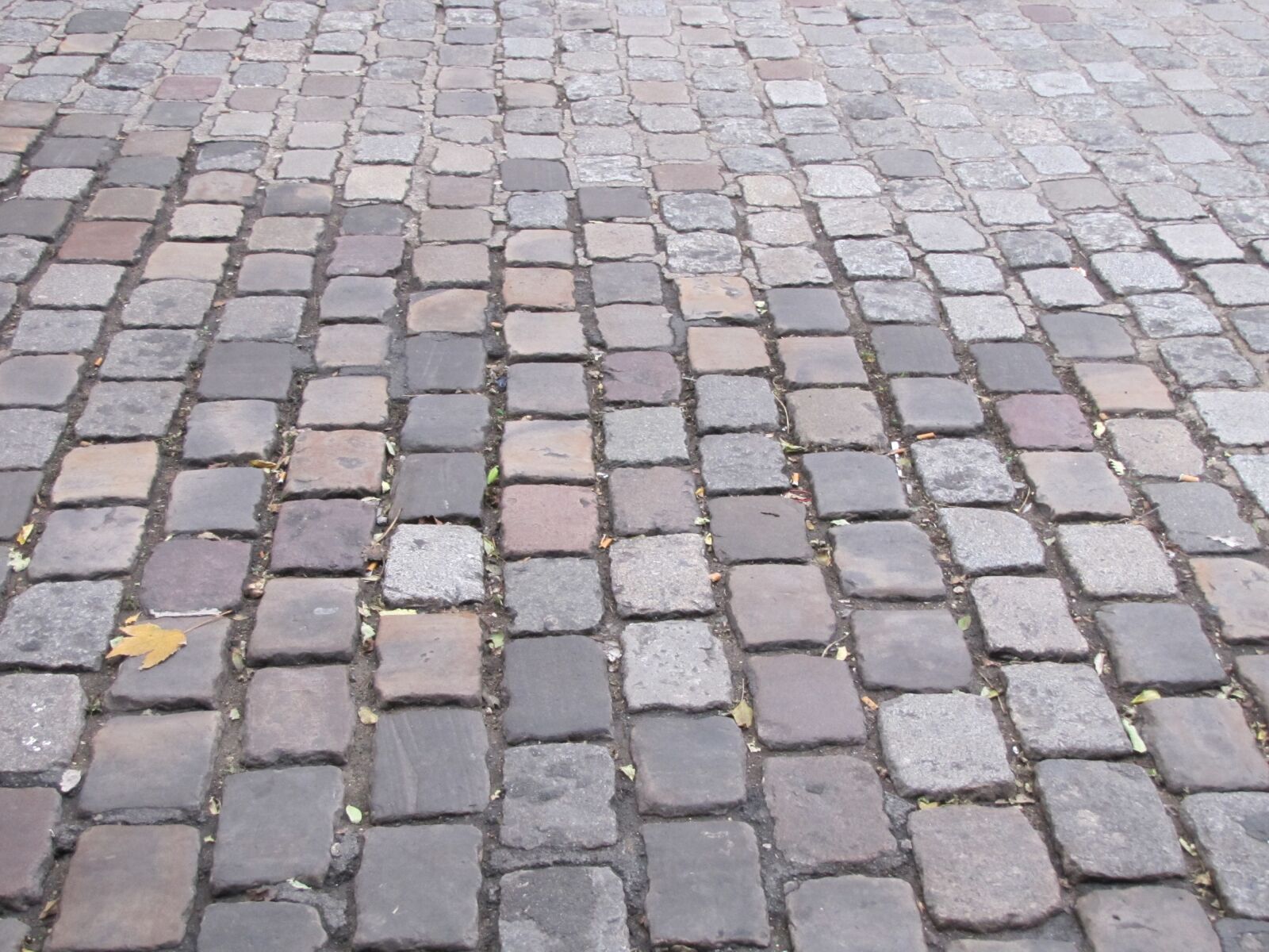 Canon PowerShot SX20 IS sample photo. Cobblestone, walkway, brick photography