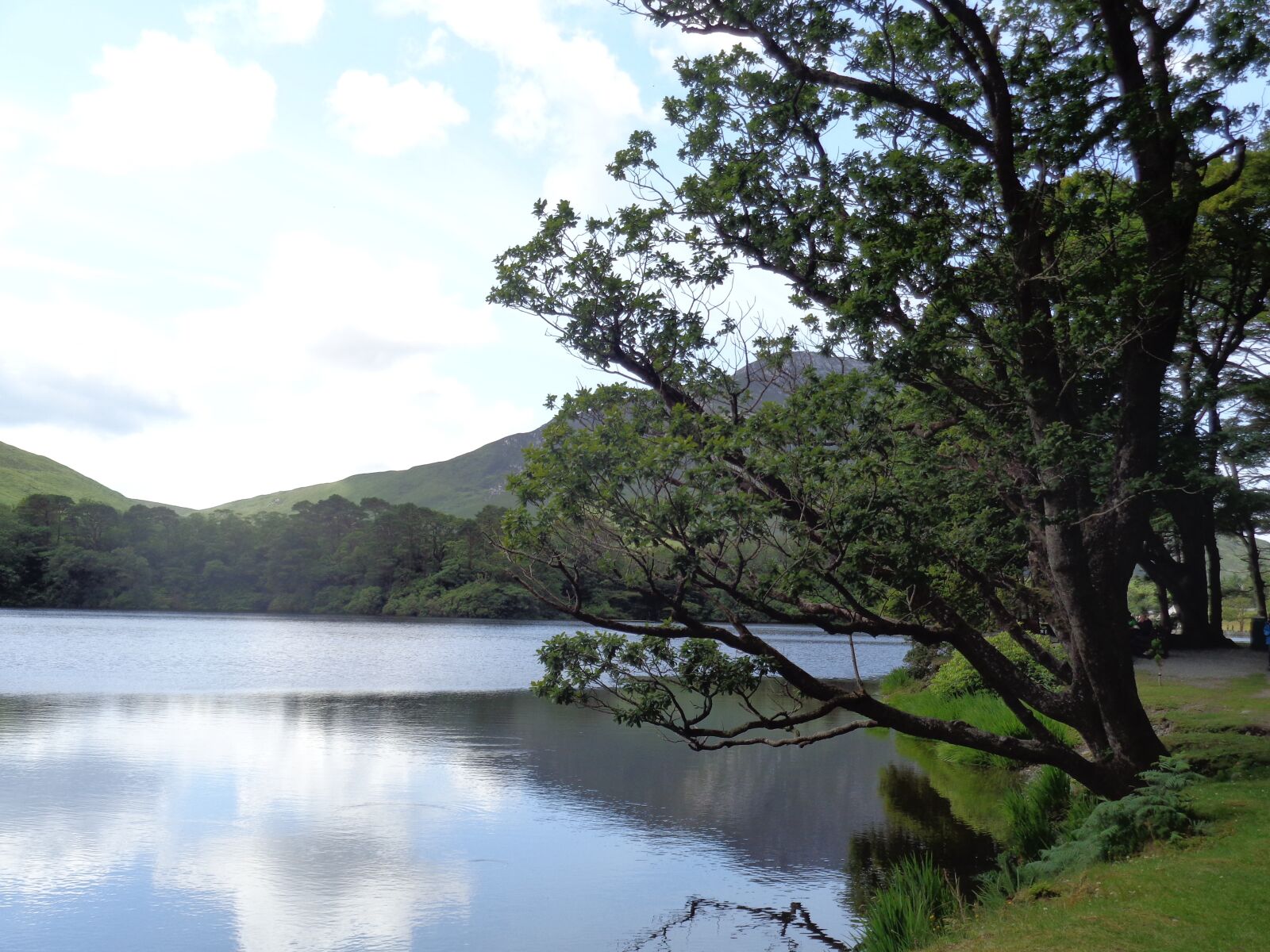Sony Cyber-shot DSC-W830 sample photo. Landscape, tree, water photography