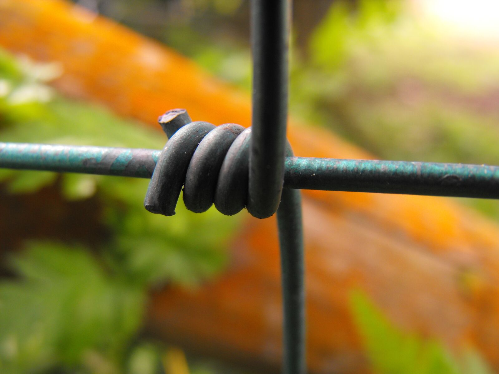 Fujifilm FinePix S1000fd sample photo. Wire, fence, macro photography