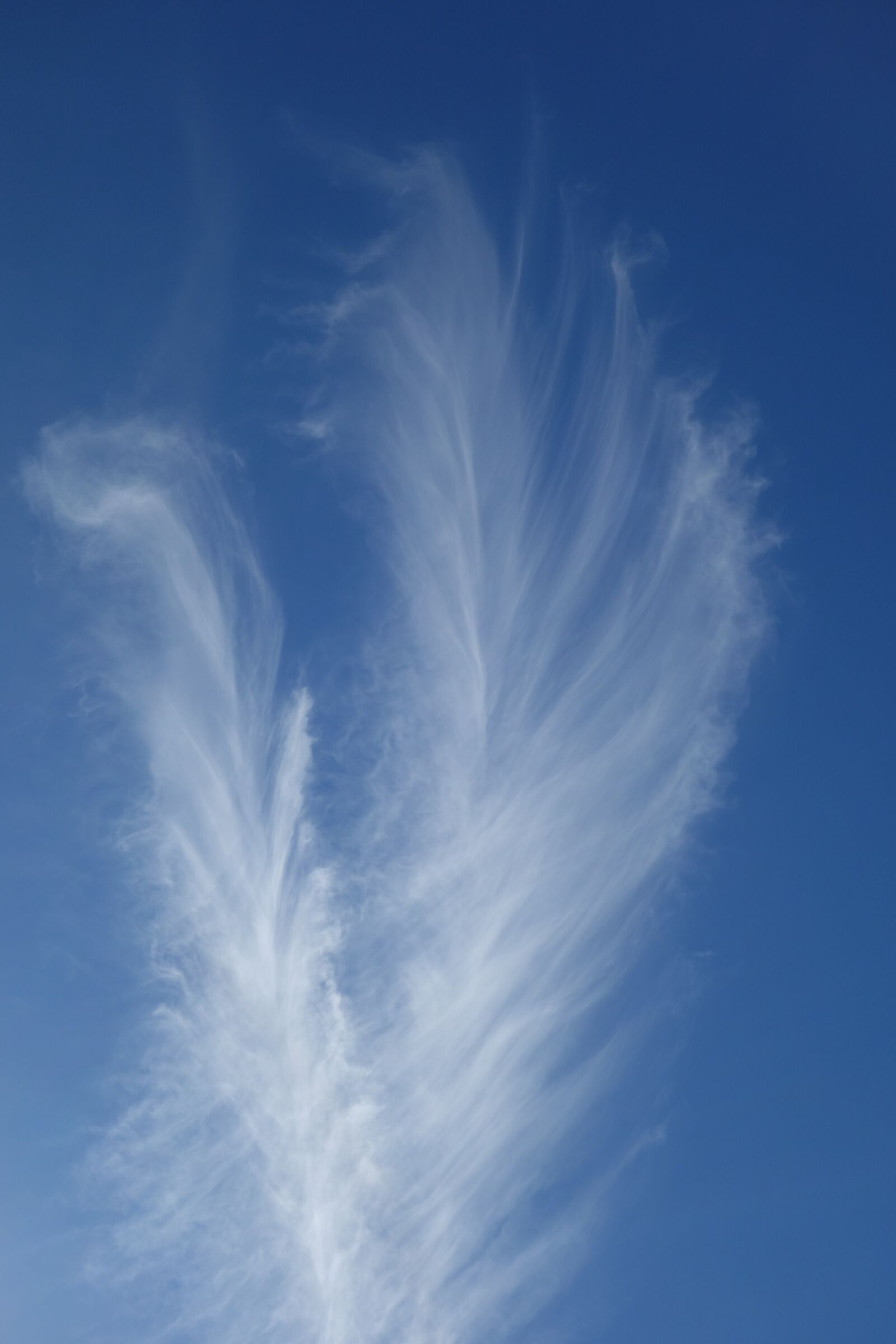 Sony Cyber-shot DSC-RX100 sample photo. Cloud, sky, blue photography