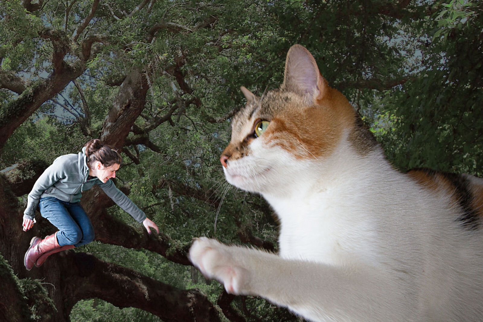 Canon EOS 7D + Tamron AF 28-75mm F2.8 XR Di LD Aspherical (IF) sample photo. Acrophobia, cat, selfie photography