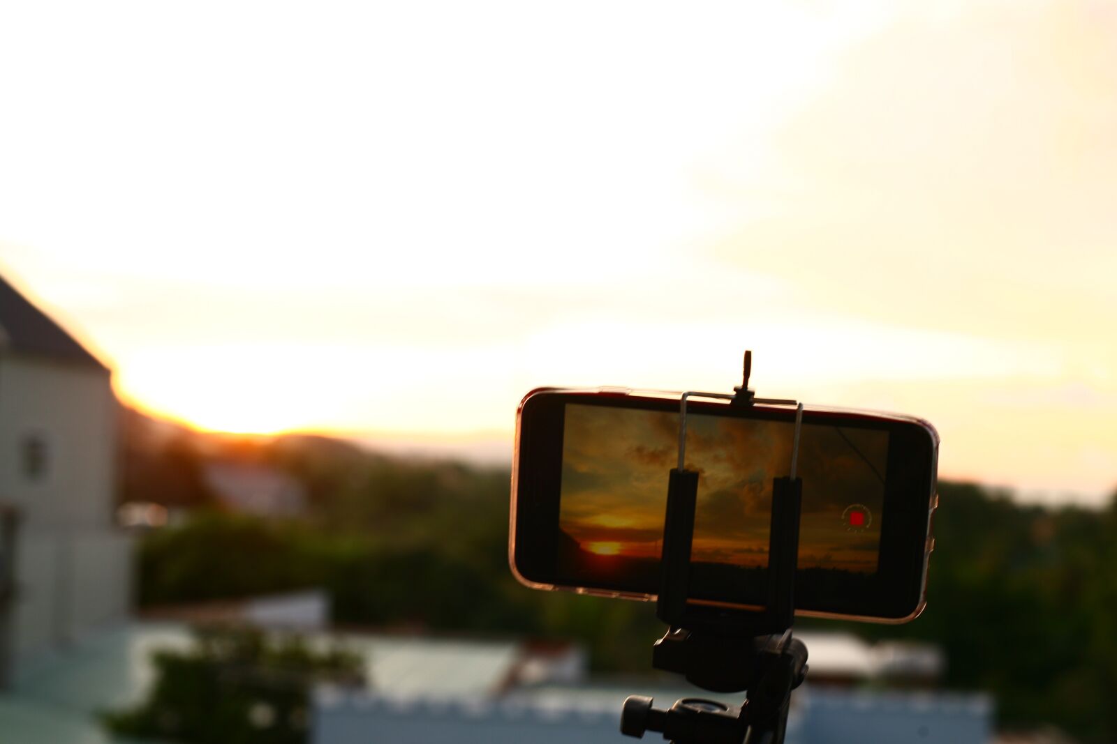 Canon EOS 5D sample photo. Iphone, tripod, mini photography