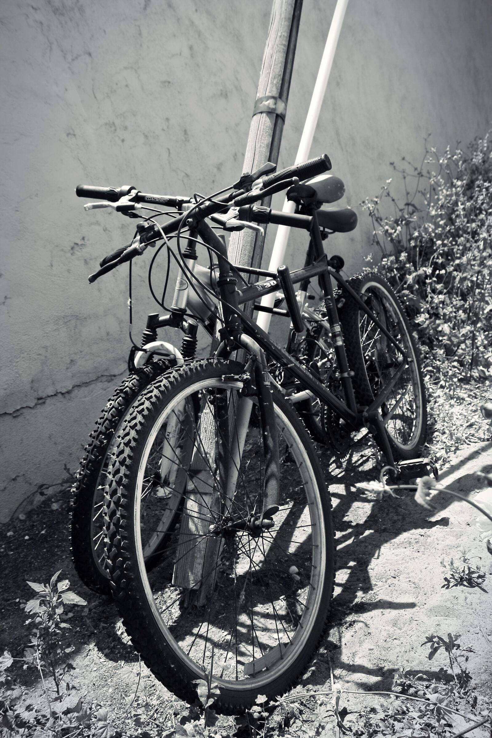 Canon EOS 1000D (EOS Digital Rebel XS / EOS Kiss F) sample photo. Bikes, pole, alley photography