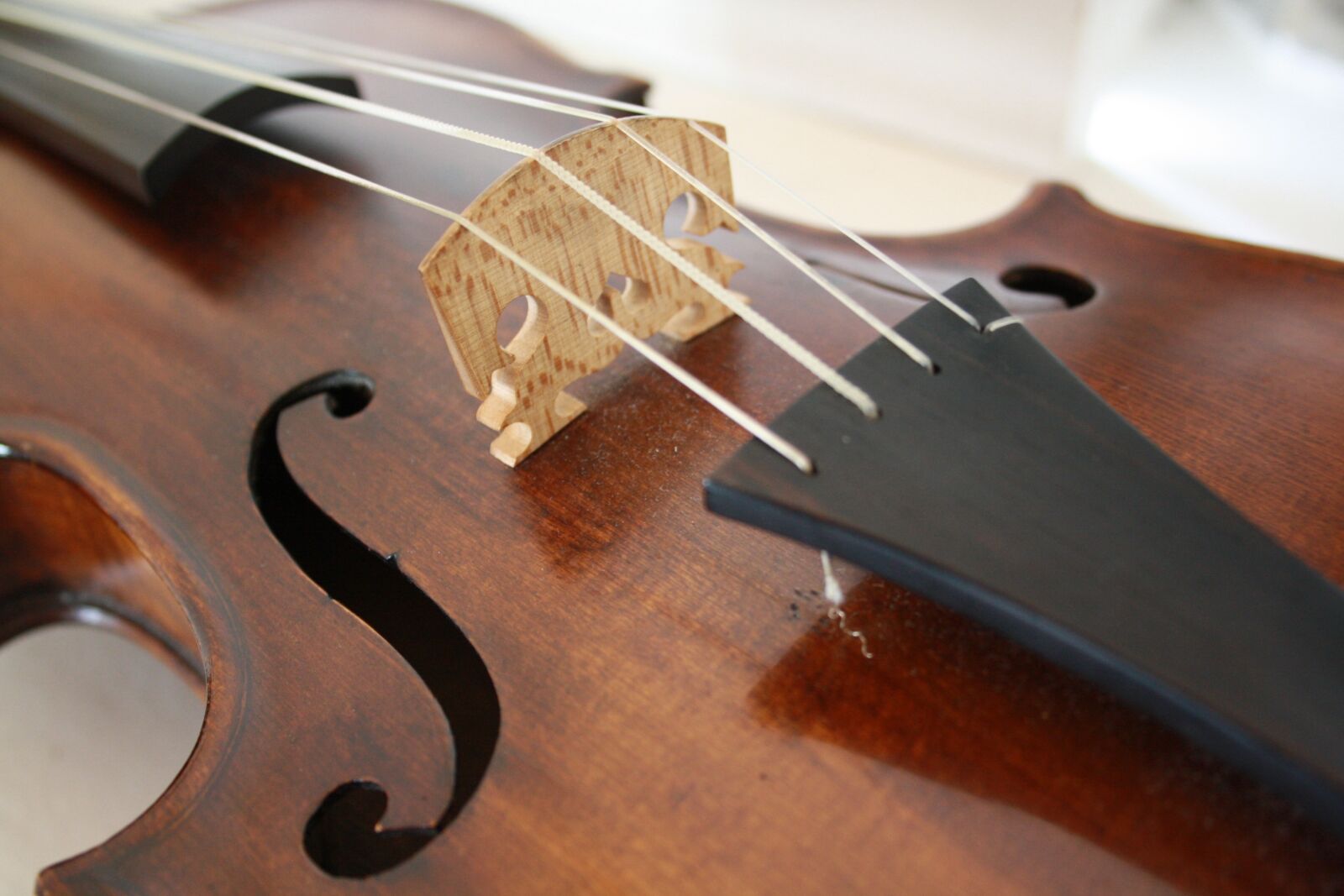 Canon EOS 1000D (EOS Digital Rebel XS / EOS Kiss F) sample photo. Stringed instrument, violin, wood photography