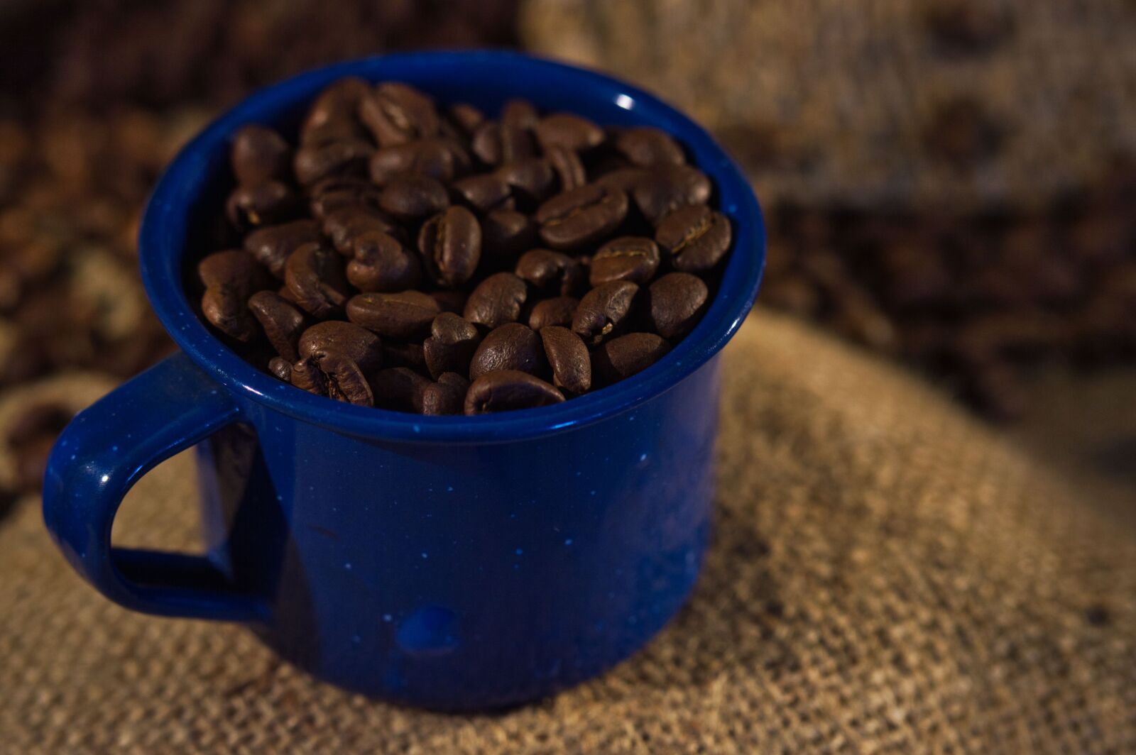 Nikon D3200 sample photo. Cup, coffee, coffee beans photography
