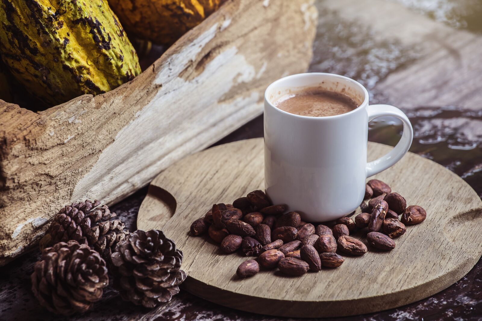 Canon EOS 5D Mark IV + Canon EF 70-200mm F4L USM sample photo. Coffee, cocoa, drink photography