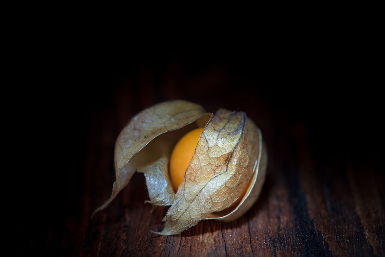 Nikon D750 sample photo. Physalis, physalis peruviana, cape photography