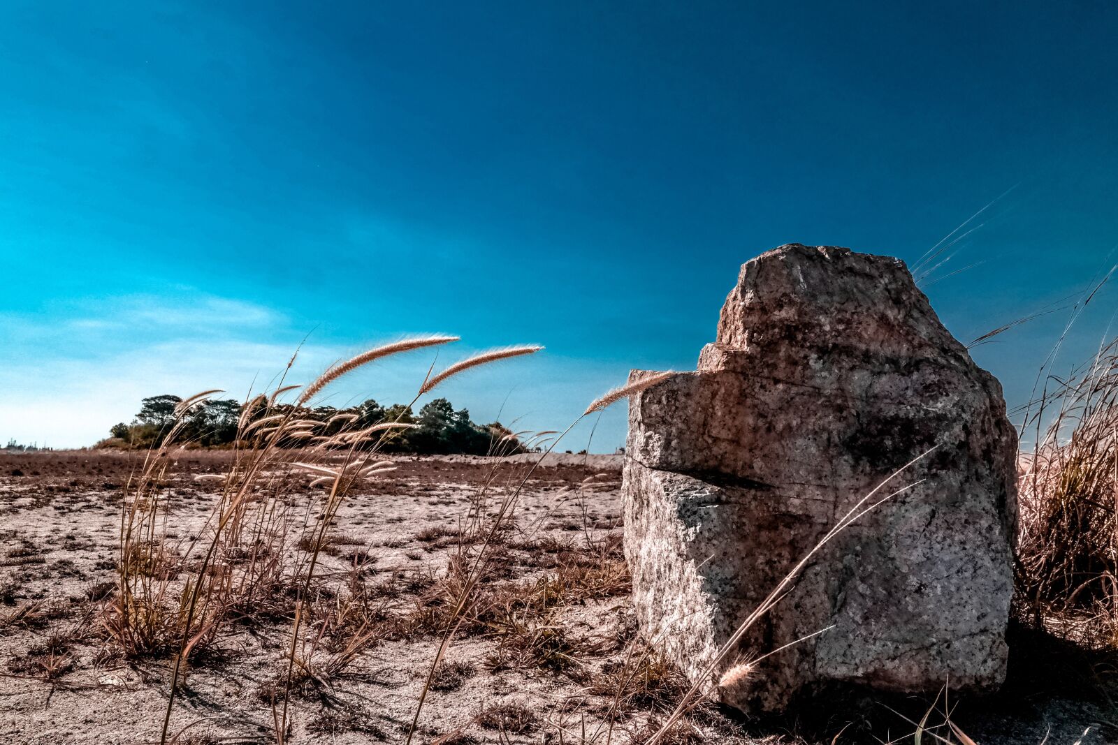 Samsung NX300 sample photo. Nature, desert, dry photography