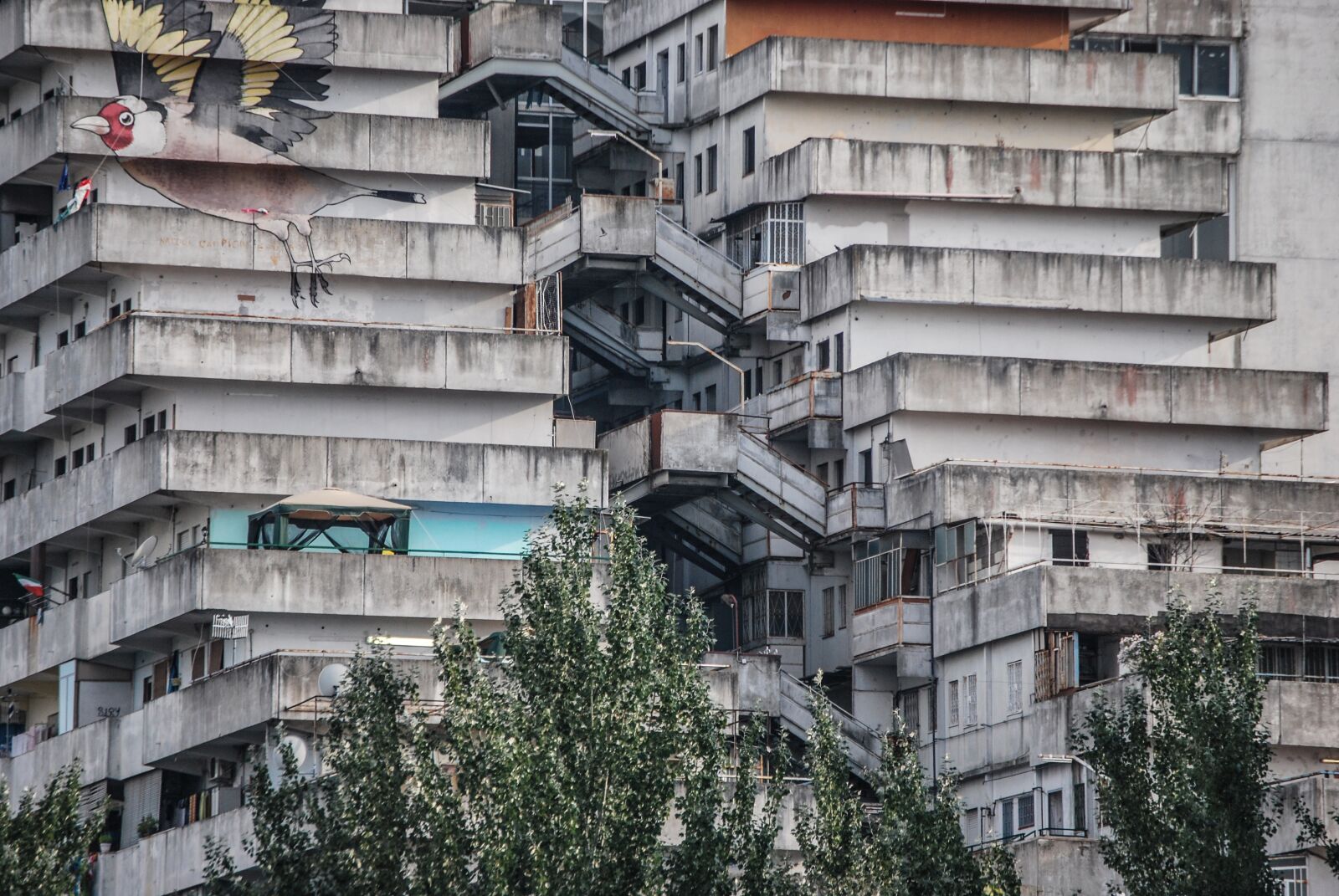 Nikon D60 sample photo. Naples, scampia, sails photography