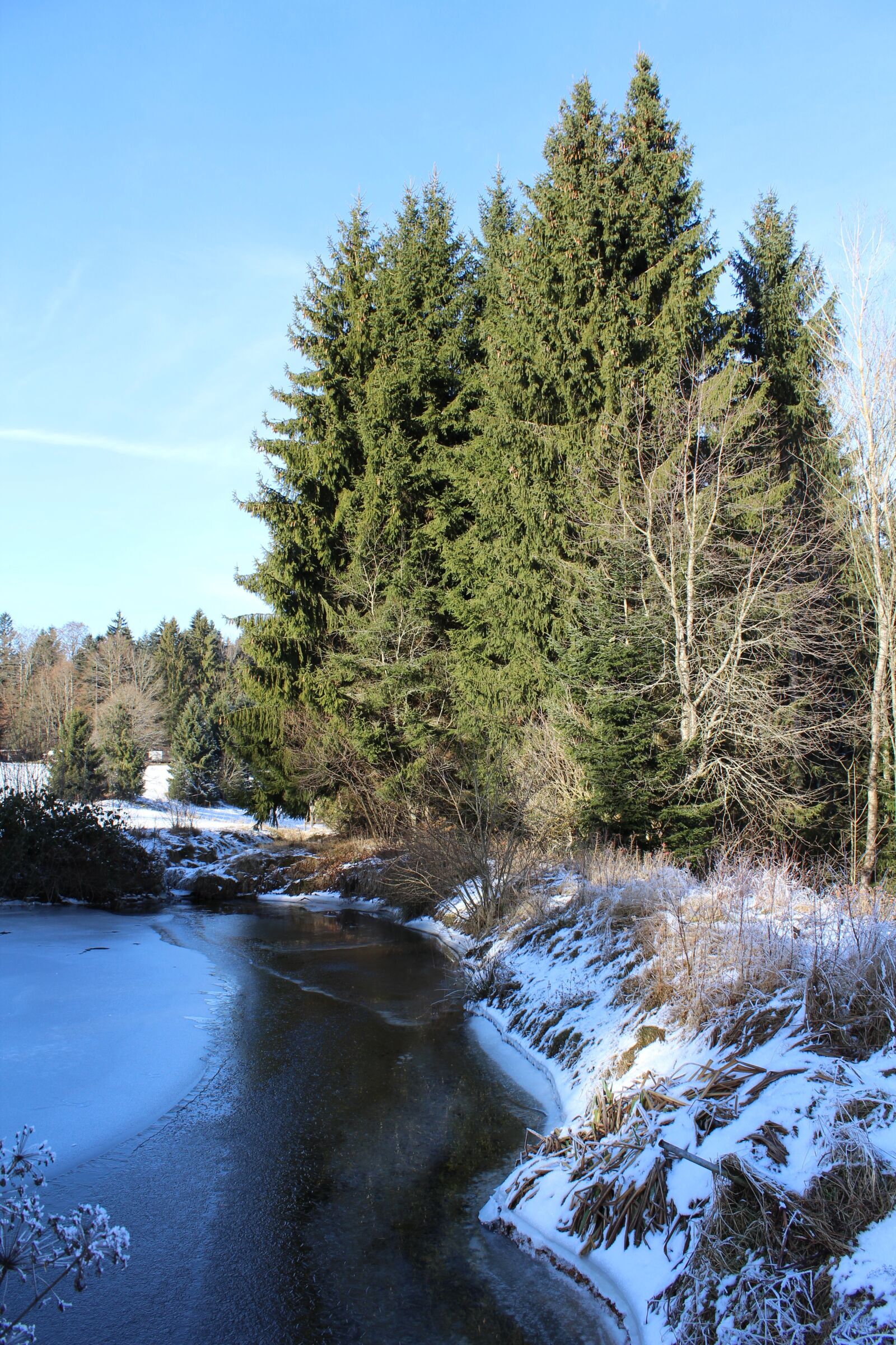 Canon EOS 1200D (EOS Rebel T5 / EOS Kiss X70 / EOS Hi) sample photo. Winter, niederbayern, bavaria photography