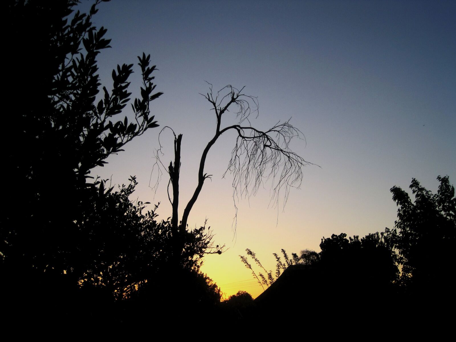 Canon PowerShot SD1200 IS (Digital IXUS 95 IS / IXY Digital 110 IS) sample photo. Sunset, soft, glow photography