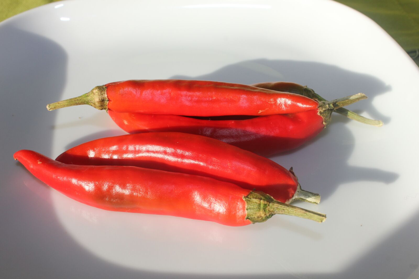 Canon EOS 550D (EOS Rebel T2i / EOS Kiss X4) sample photo. Chilli, chili pepper, red photography