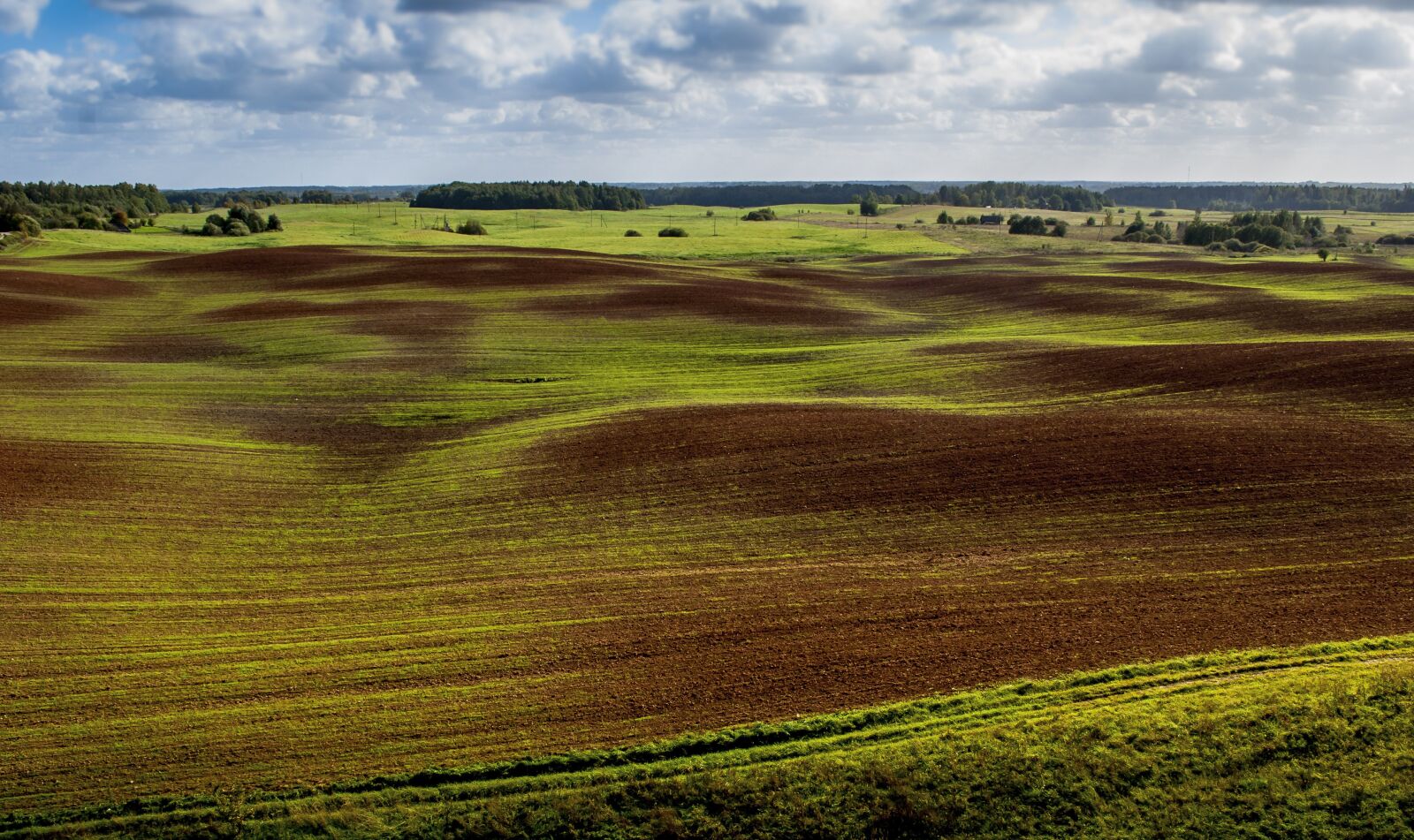 Nikon D60 sample photo. Field, cloudy, clouds photography
