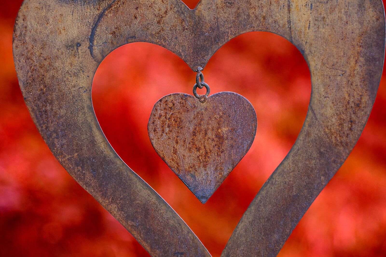 Sony E 55-210mm F4.5-6.3 OSS sample photo. Heart, love, romance photography
