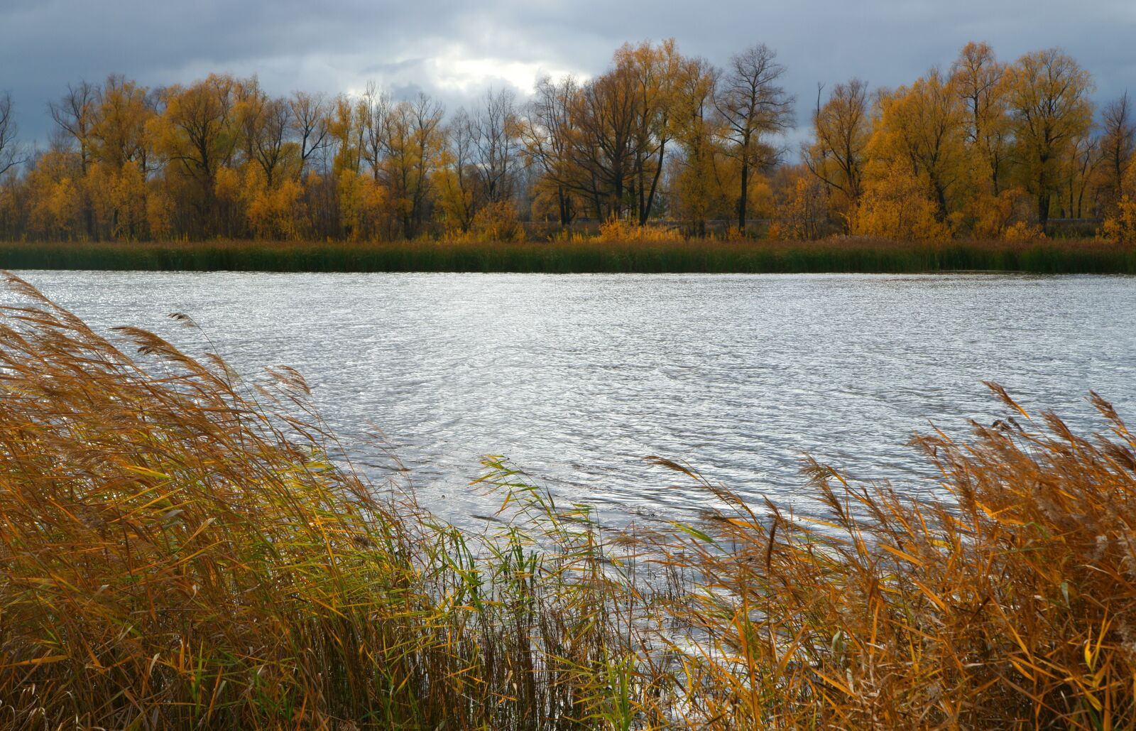 Sony Alpha DSLR-A850 sample photo. River, water, nature photography