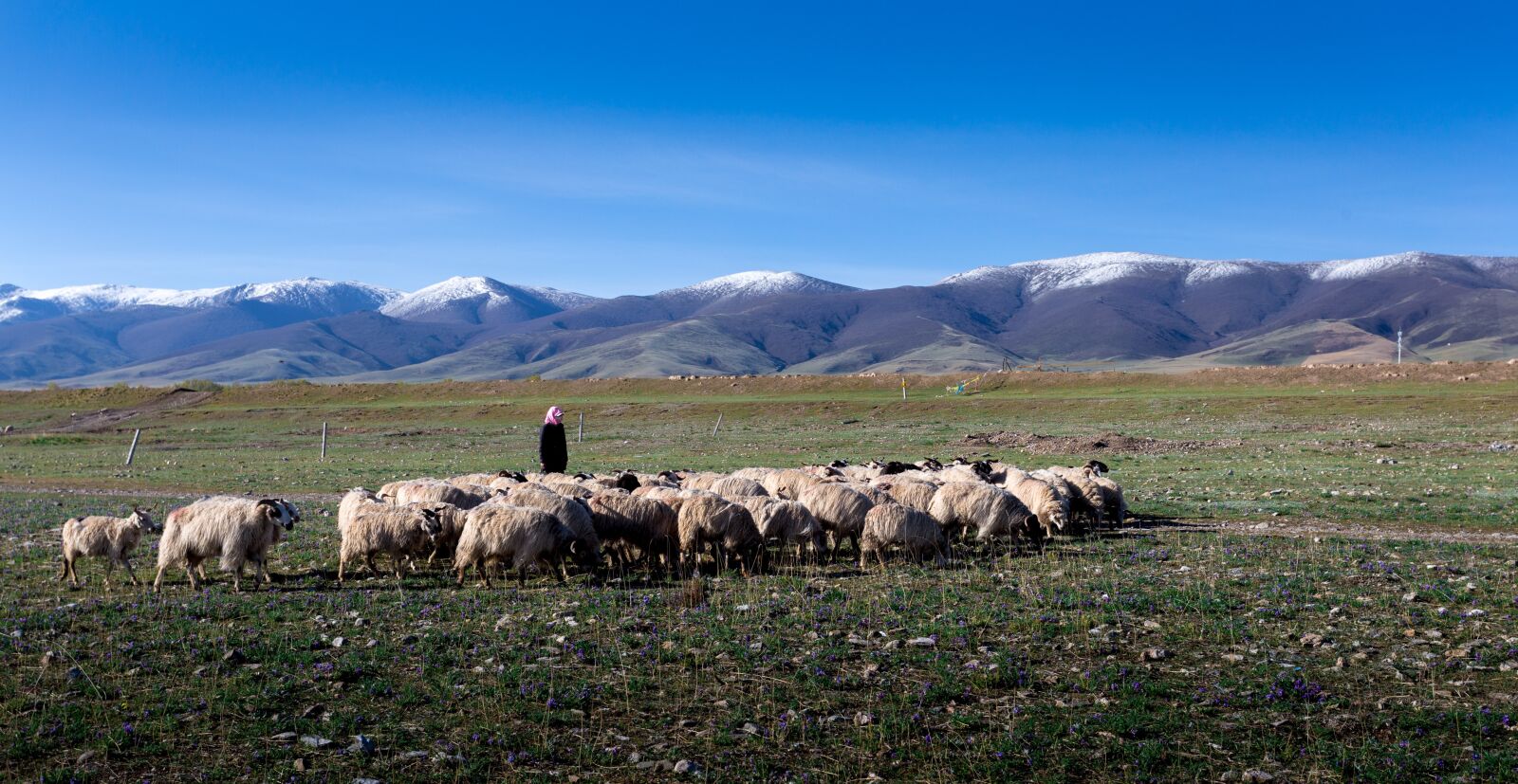 Canon EOS 6D + Canon EF 17-40mm F4L USM sample photo. Qinghai lake, xining, gansu photography