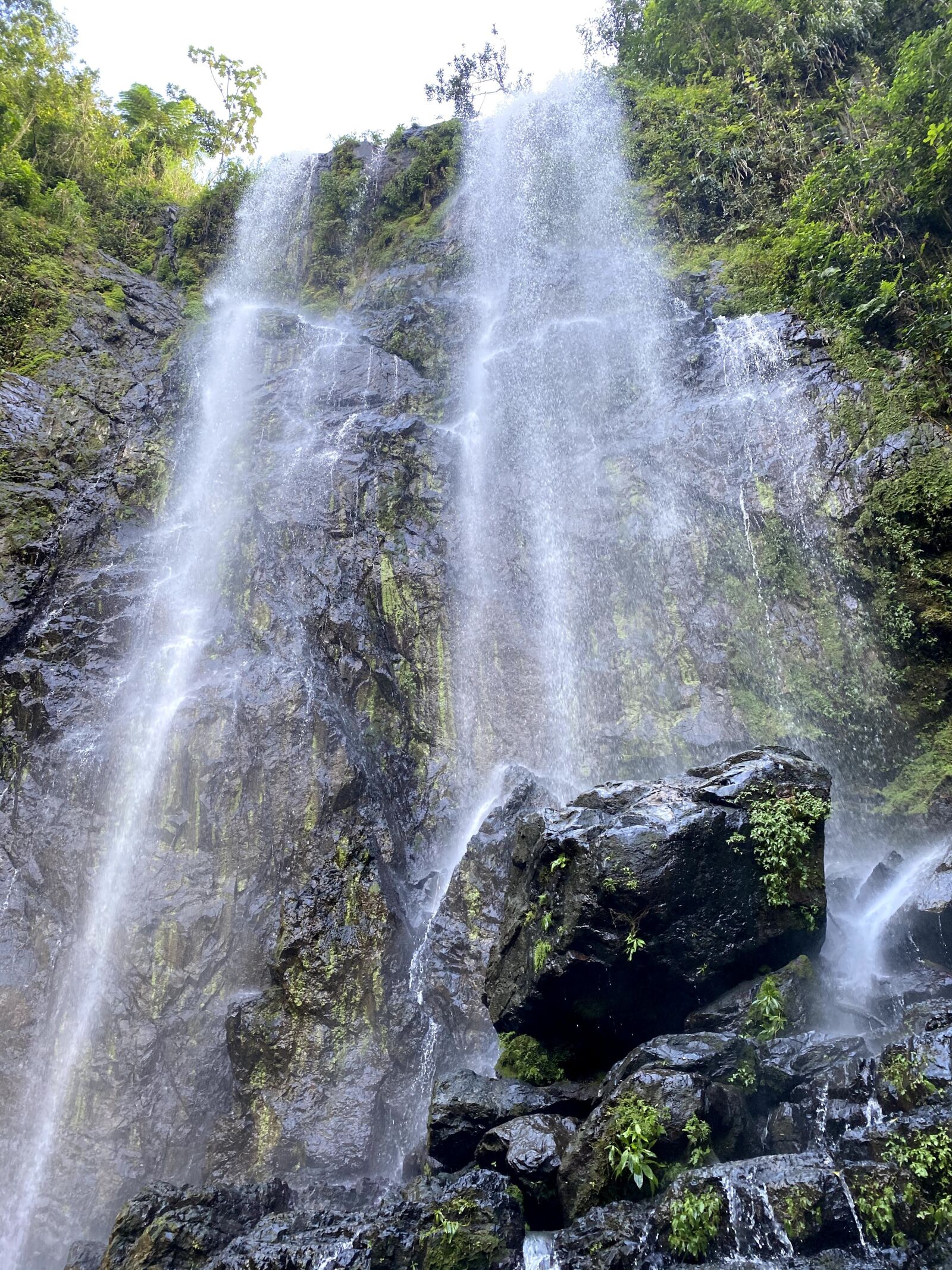 Apple iPhone 11 Pro Max sample photo. Puerto rico, waterfall, hiking photography