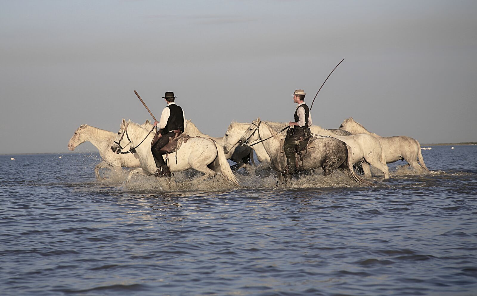 Canon EOS 5D Mark III sample photo. Gardian, horses, herd photography