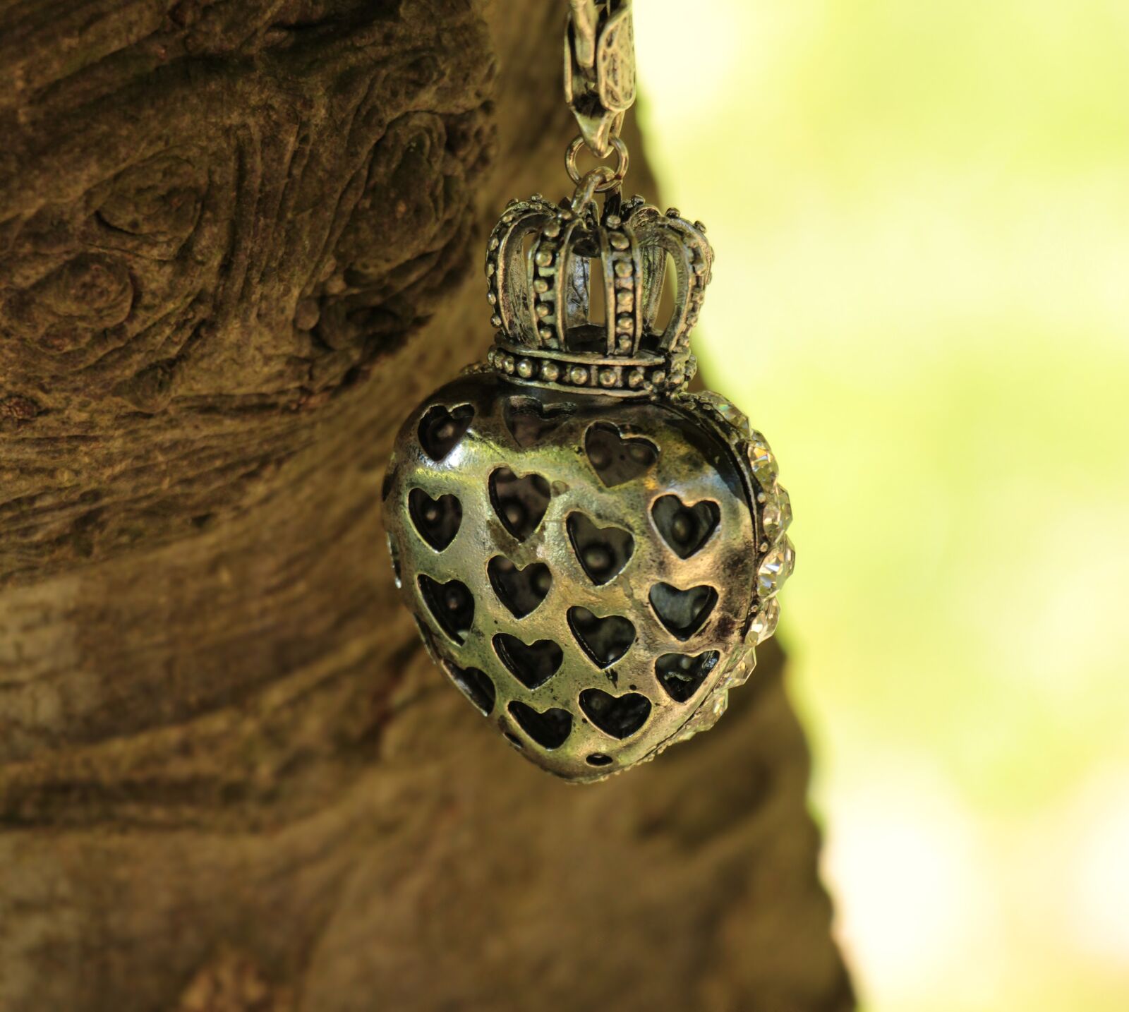 Canon EOS 100D (EOS Rebel SL1 / EOS Kiss X7) sample photo. Heart, crown, tree photography