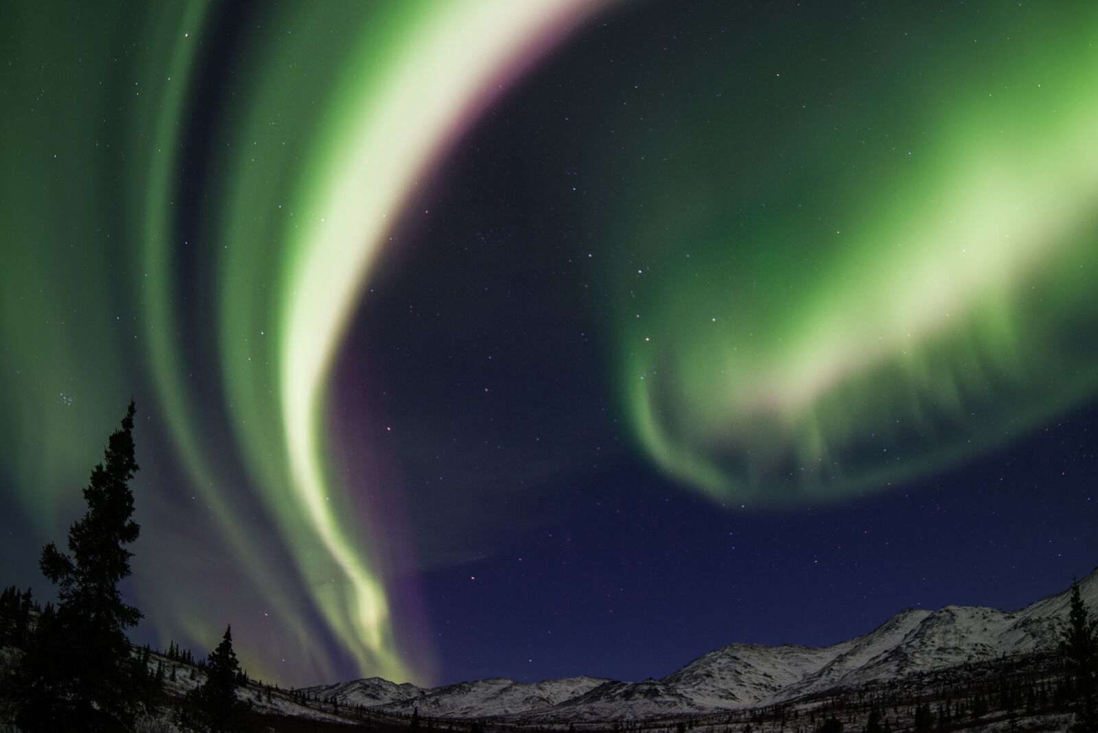 Nikon D810 sample photo. Aurora borealis, northern lights photography