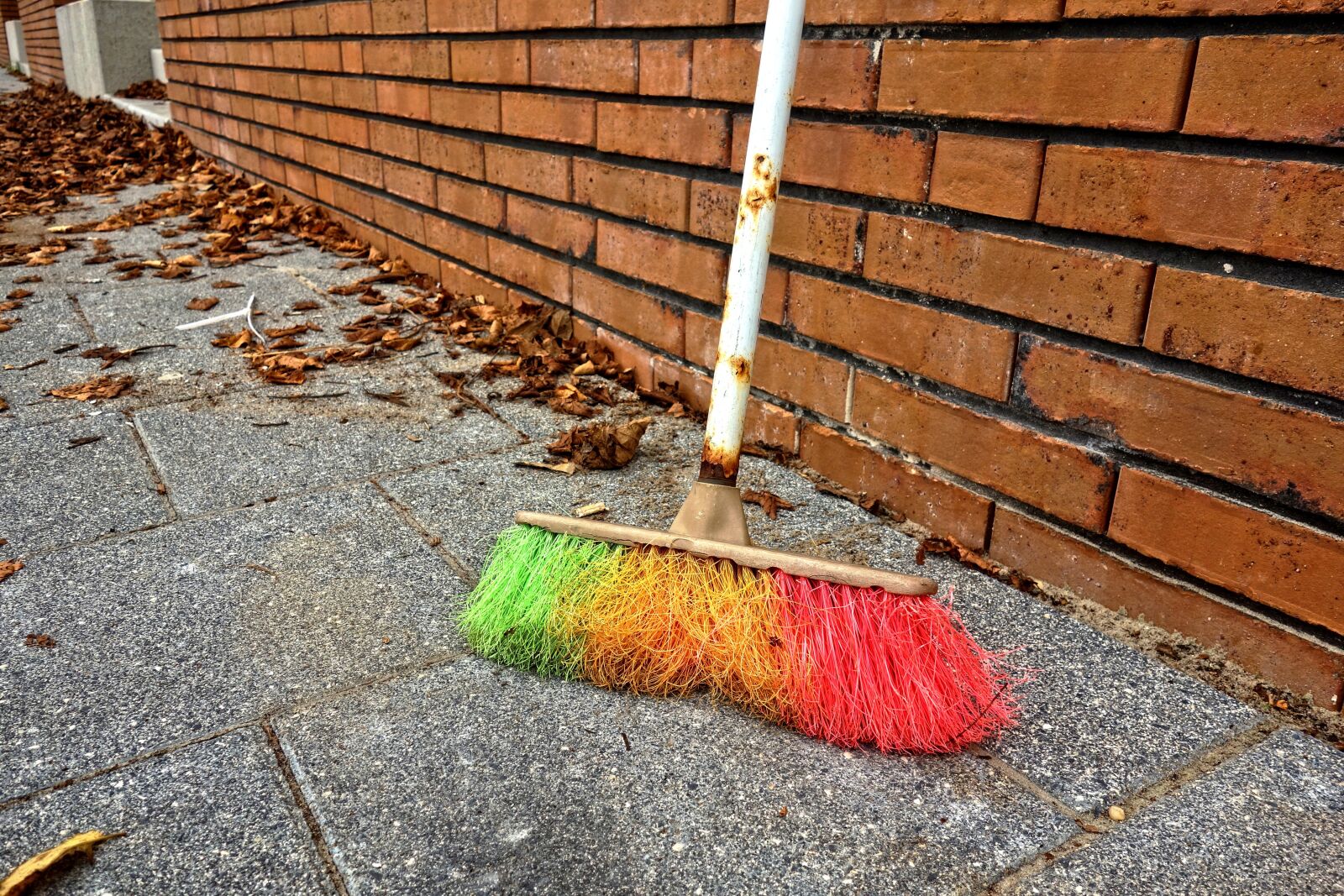 Sony Cyber-shot DSC-RX100 sample photo. Broom, sweeping, dust photography