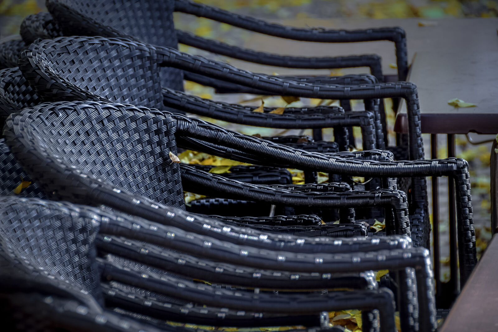 Nikon D3300 sample photo. Autumn, chairs, garden, leaves photography