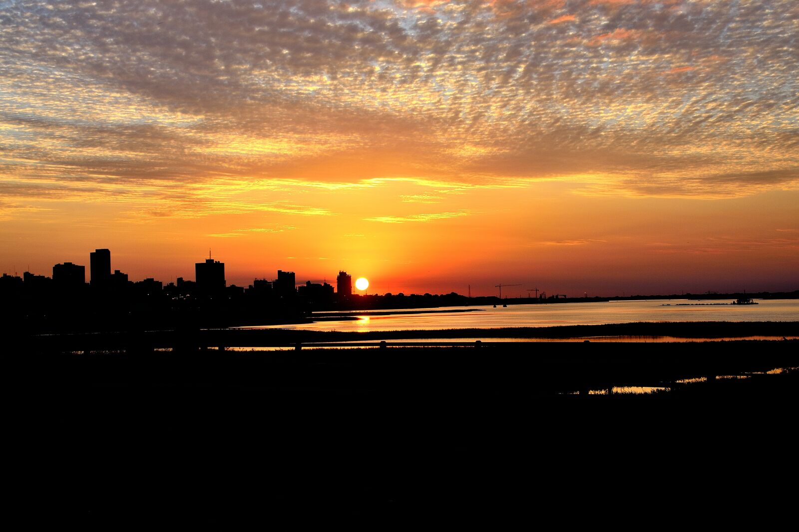Nikon D7100 sample photo. Glow, red color, cbd photography