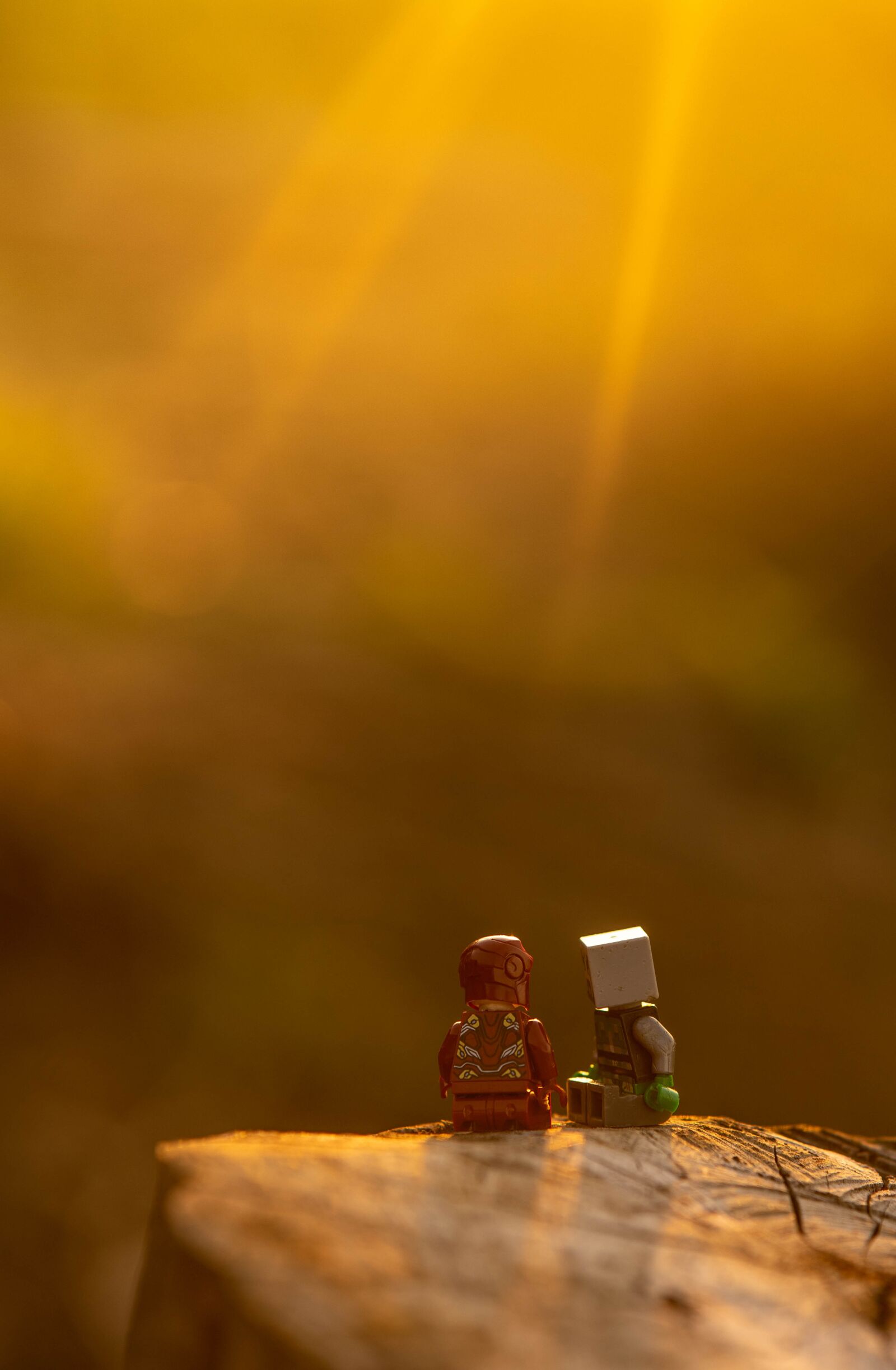 Sony a7 II + Samyang AF 85mm F1.4 FE sample photo. Toy, lego, plastic toy photography