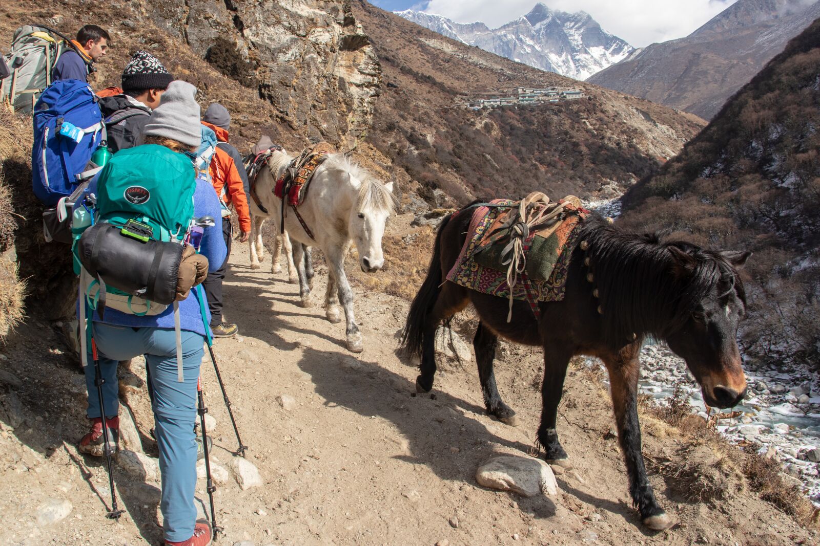 Canon EOS 200D (EOS Rebel SL2 / EOS Kiss X9) sample photo. Himalayas, nepal, hiking photography