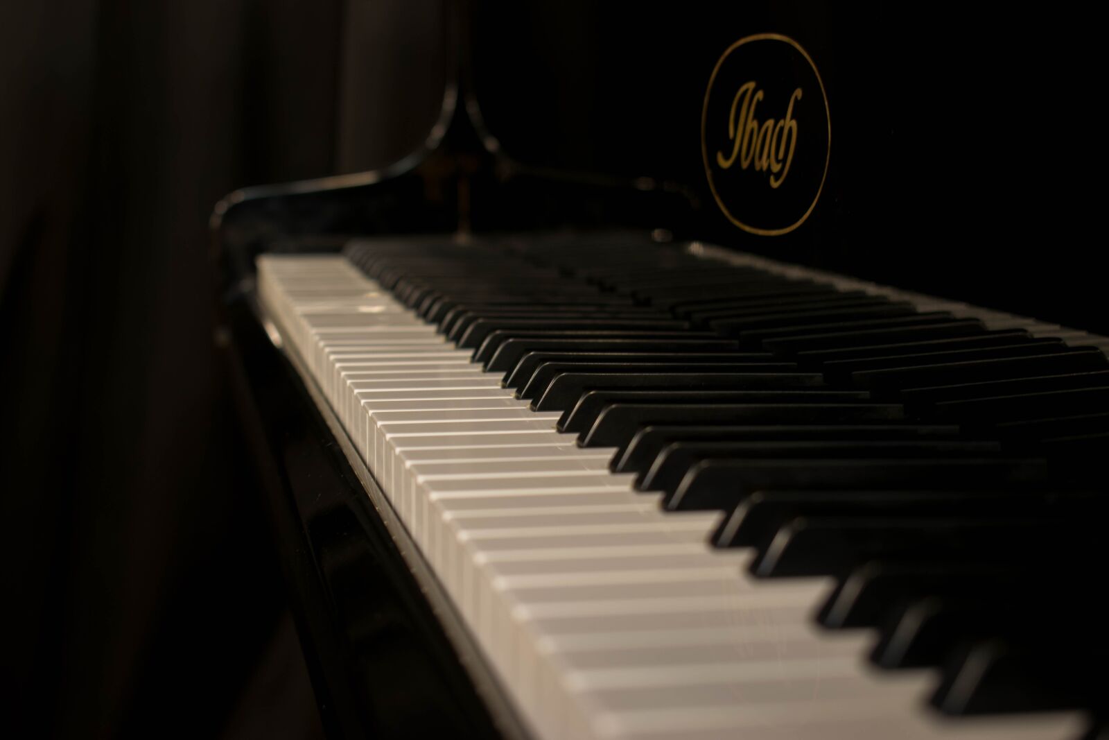 Nikon D5300 sample photo. Piano, music, instrument photography