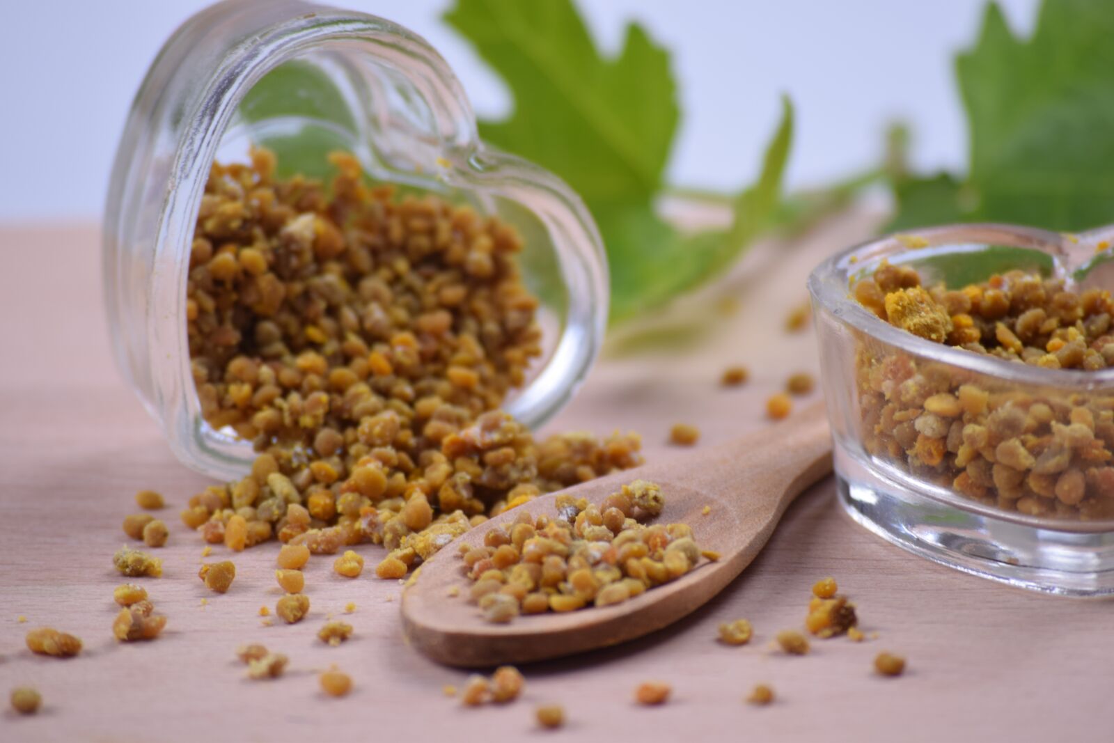 Nikon D3300 sample photo. Bee, bee pollen, nature photography