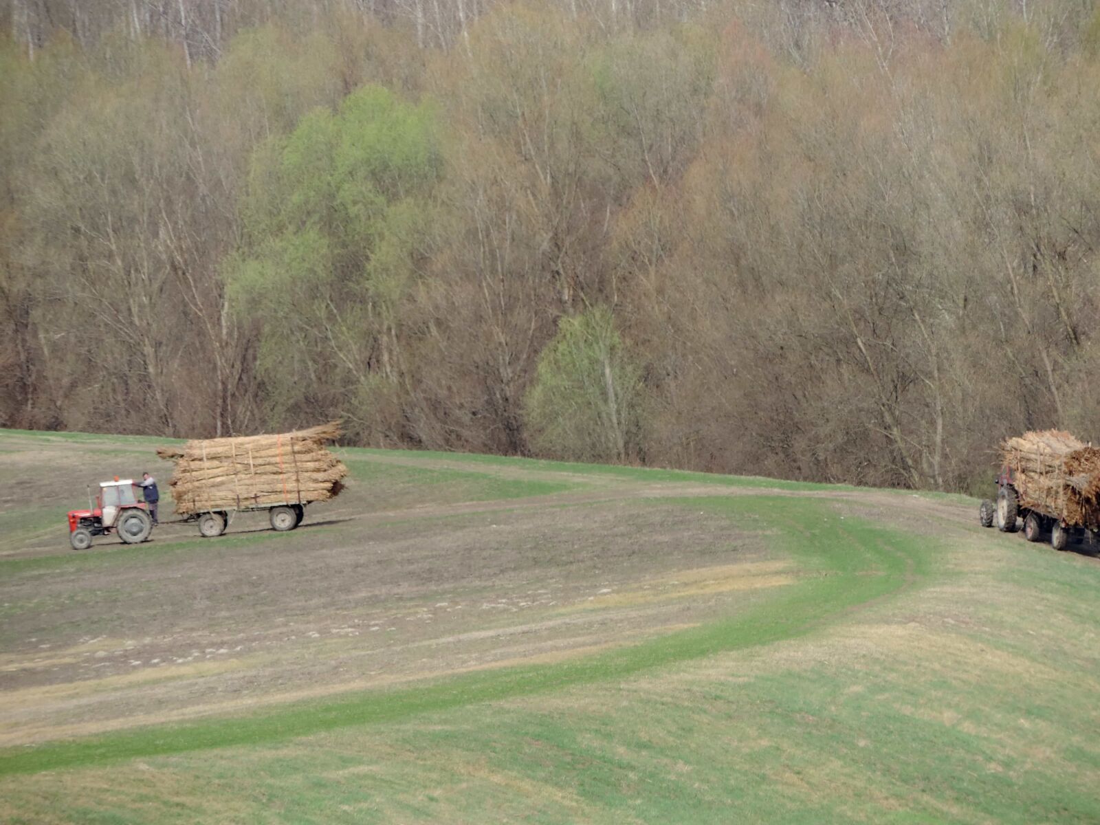 Nikon Coolpix P520 sample photo. Agriculture, field work, hillside photography