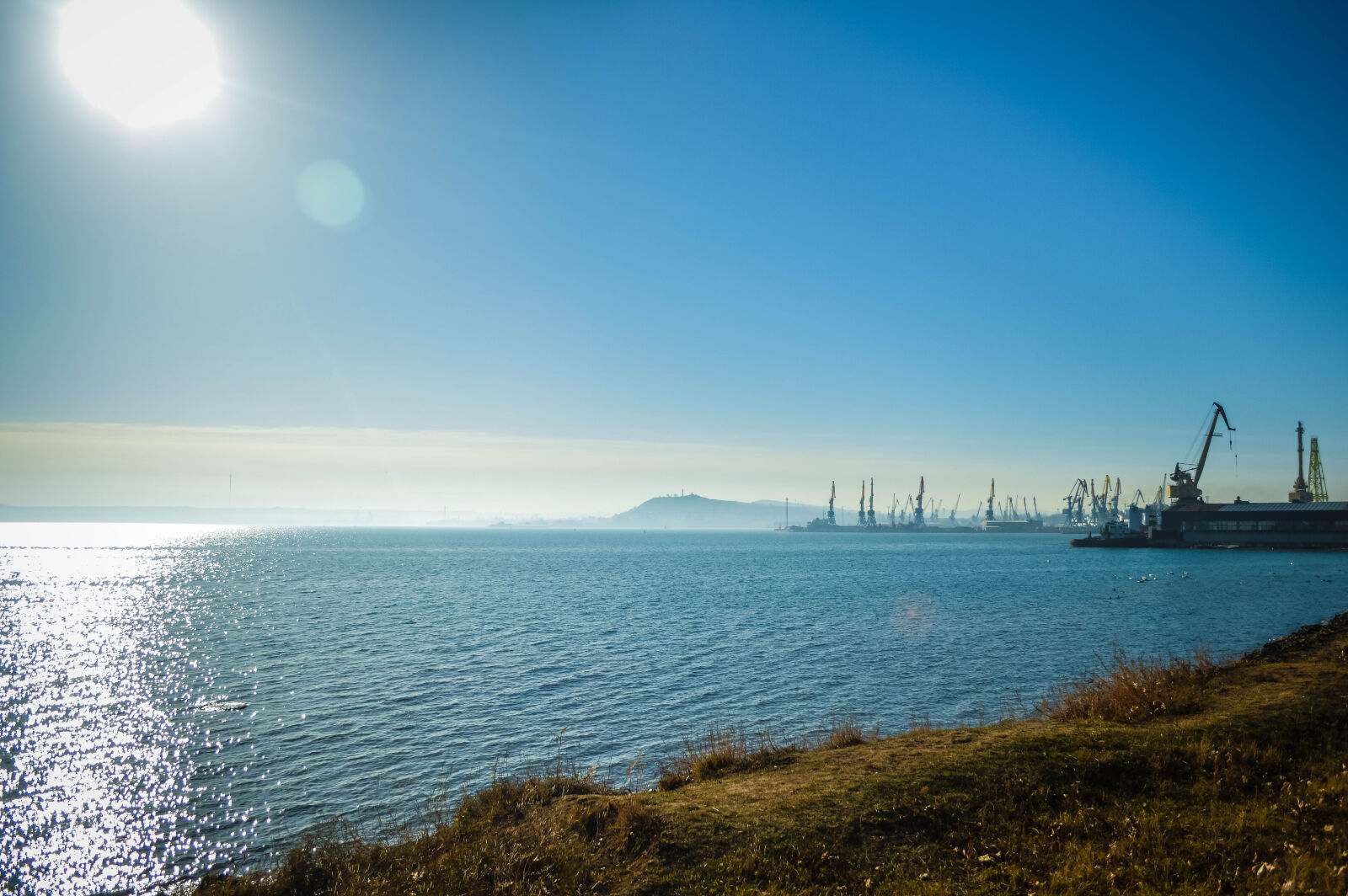 Nikon D3200 sample photo. Autumn, azov, leaves, mitridat photography