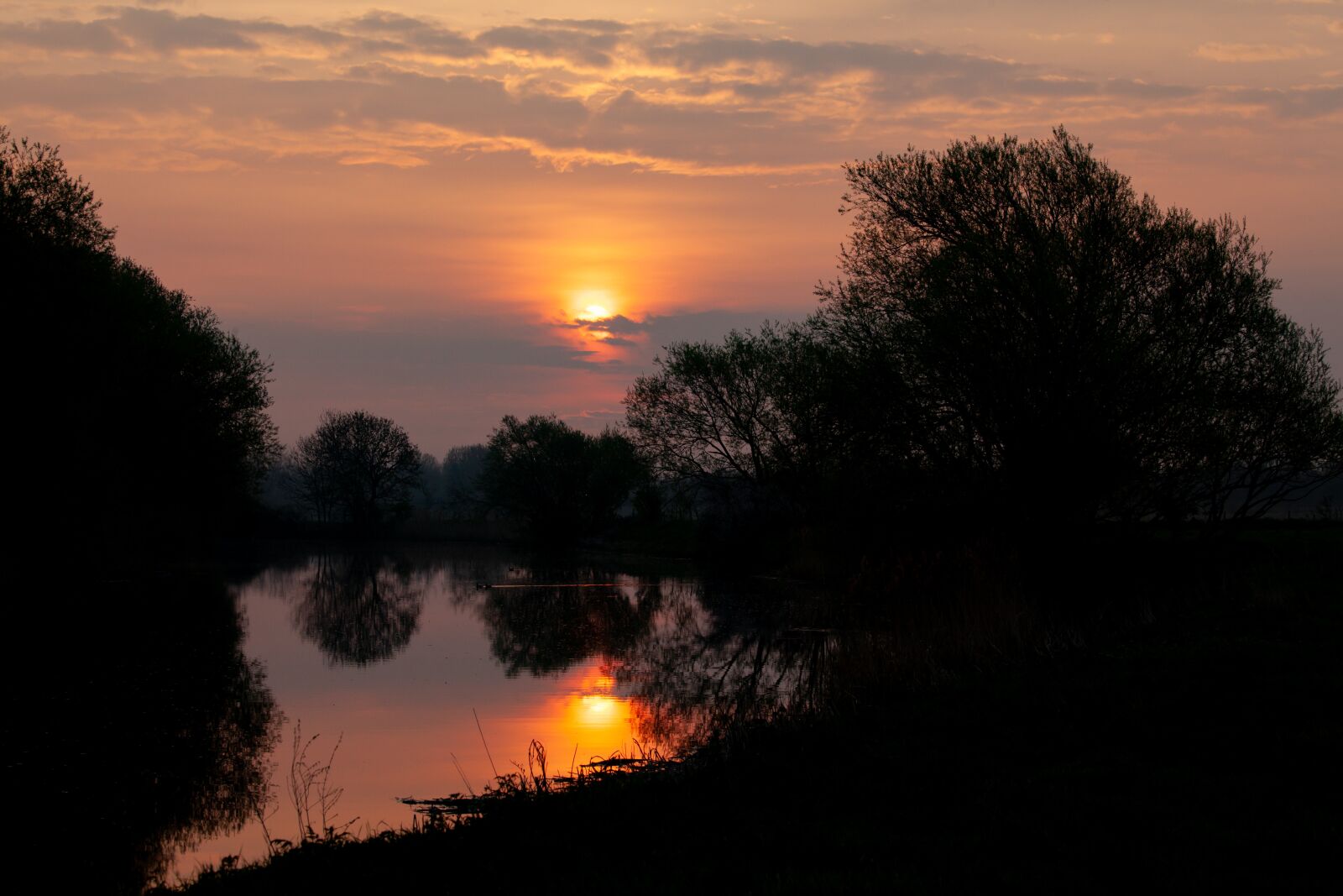 Canon EOS 5D Mark II sample photo. Sunrise, water, tree photography