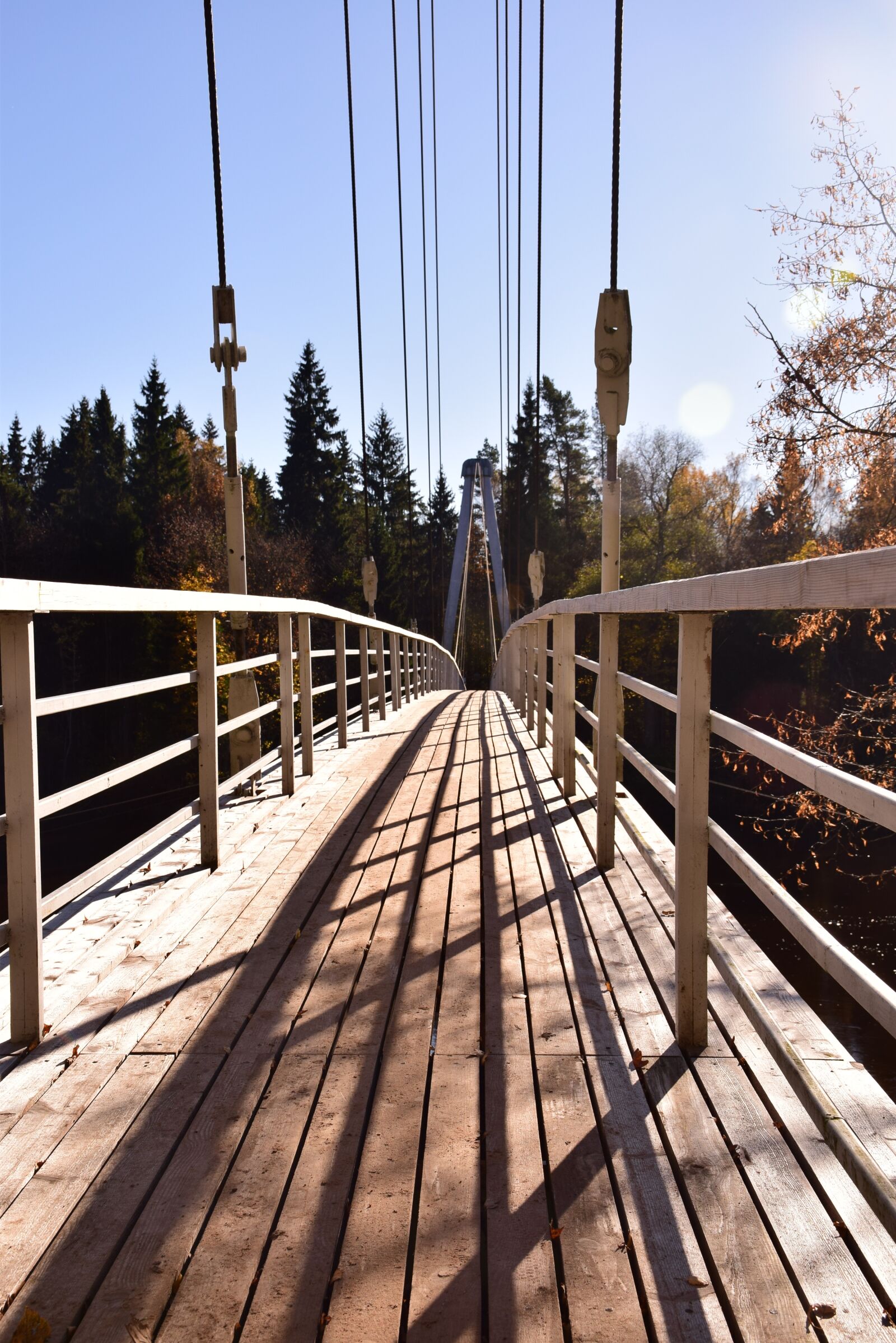 Nikon D5300 sample photo. Bridge, autumn, nature photography