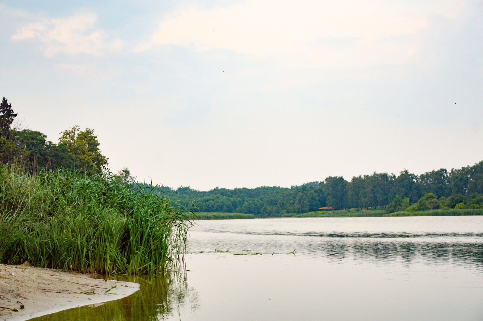 Nikon D3200 sample photo