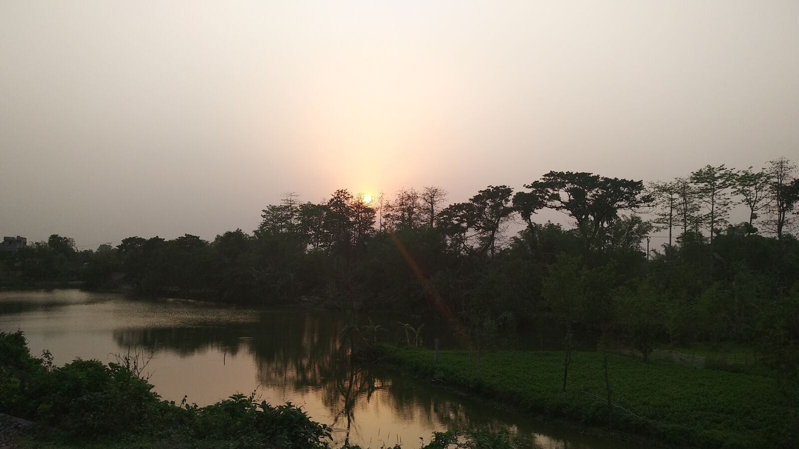 Xiaomi MI MAX 2 sample photo. Sunset, bengal, dusk photography