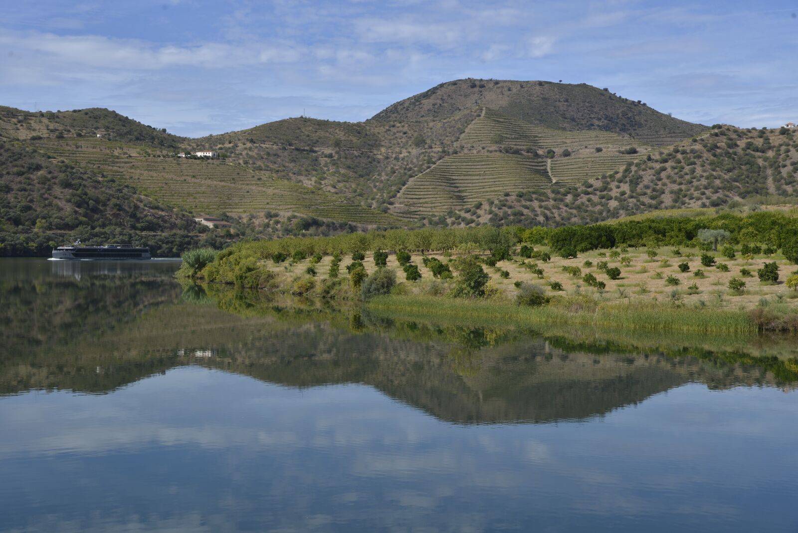 Nikon D600 sample photo. Portugal, douro, panorama photography