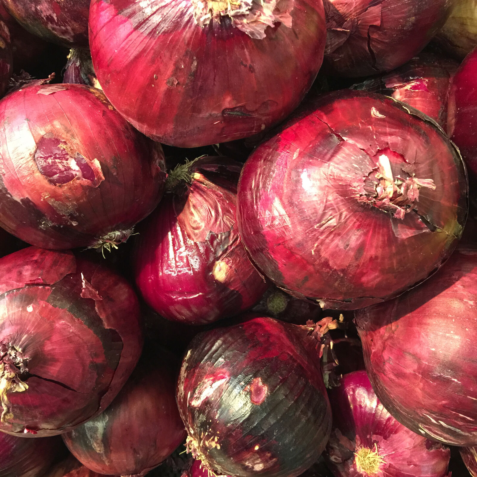 iPhone 6 Plus back camera 4.15mm f/2.2 sample photo. Farmers, market, marketplace, onion photography