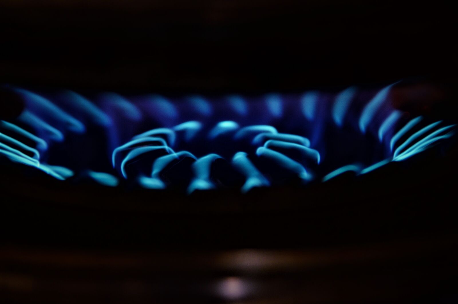 Nikon D7000 sample photo. Macro, gas, color photography