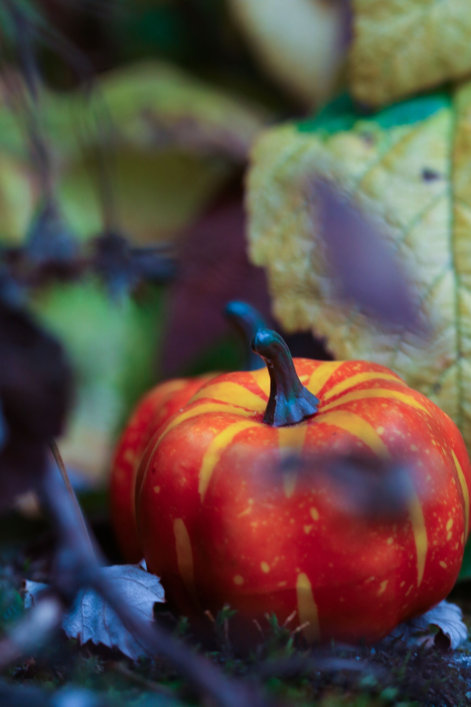 Canon EOS 7D Mark II sample photo. Pumkin, halloween, leaf photography