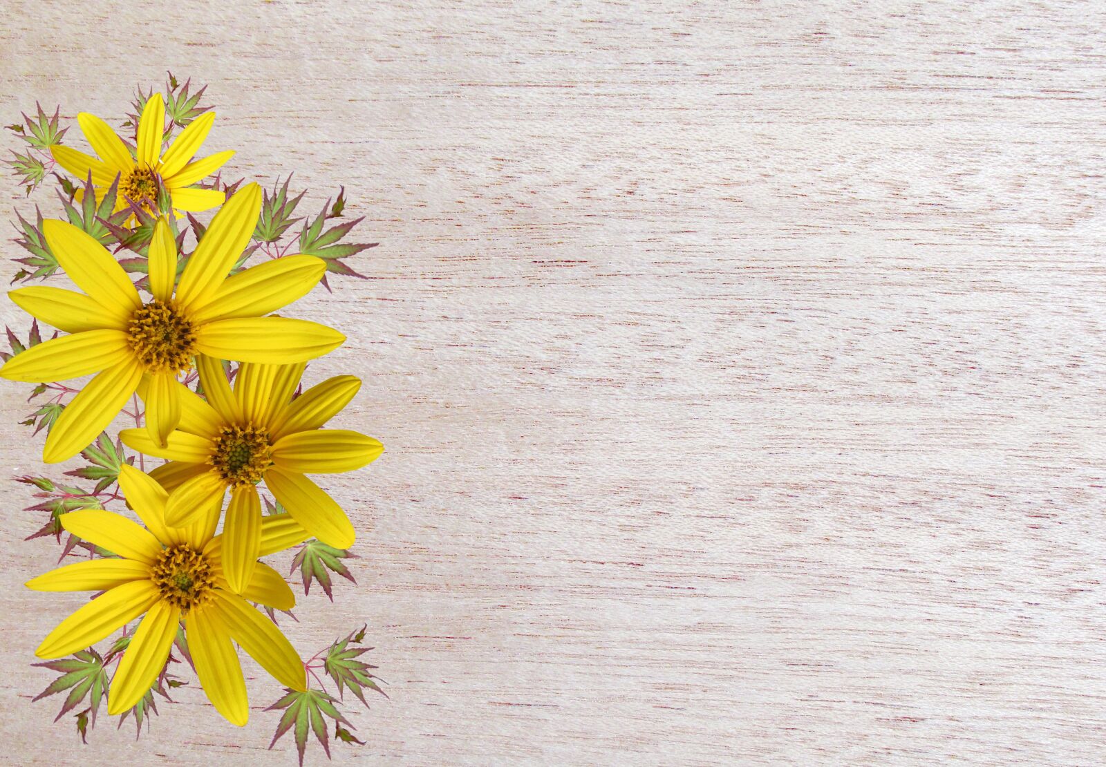 Canon PowerShot SX170 IS sample photo. Greeting card, flower, yellow photography
